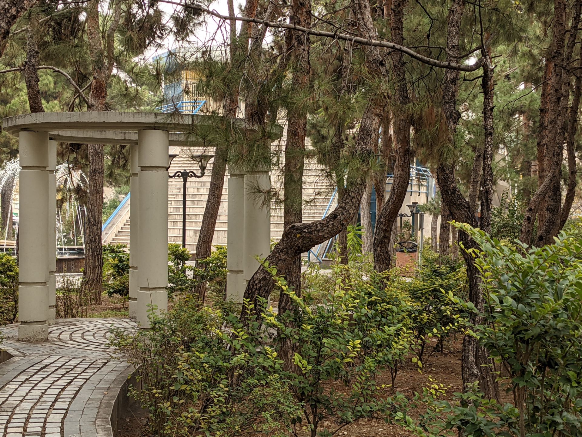 عکس نمونه با زوم ۲ برابری پیکسل ۵ در طول روز - منظره پارک صبا