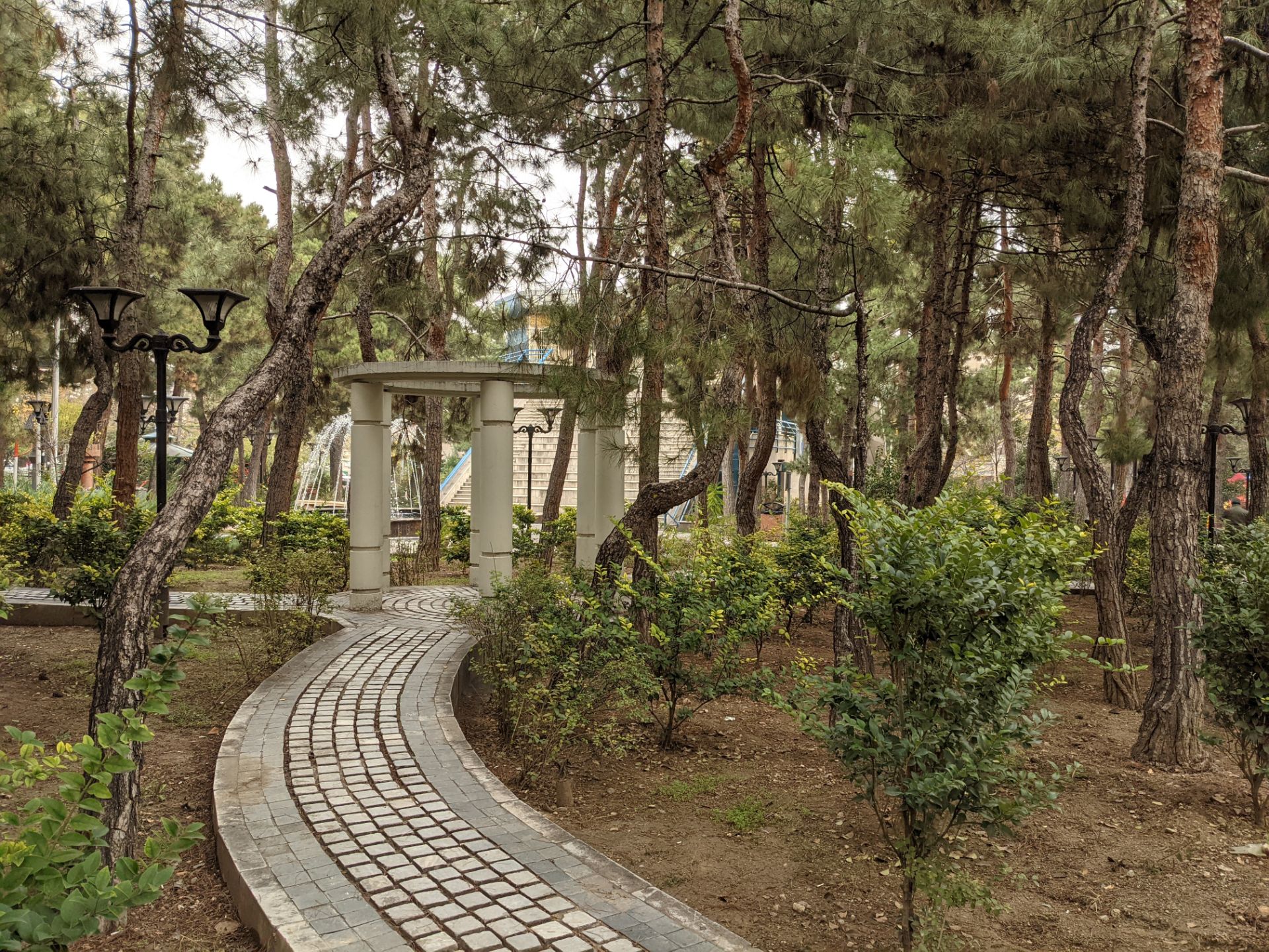 عکس نمونه دوربین اصلی پیکسل ۵ در طول روز - منظره‌ای از پارک صبا تهران