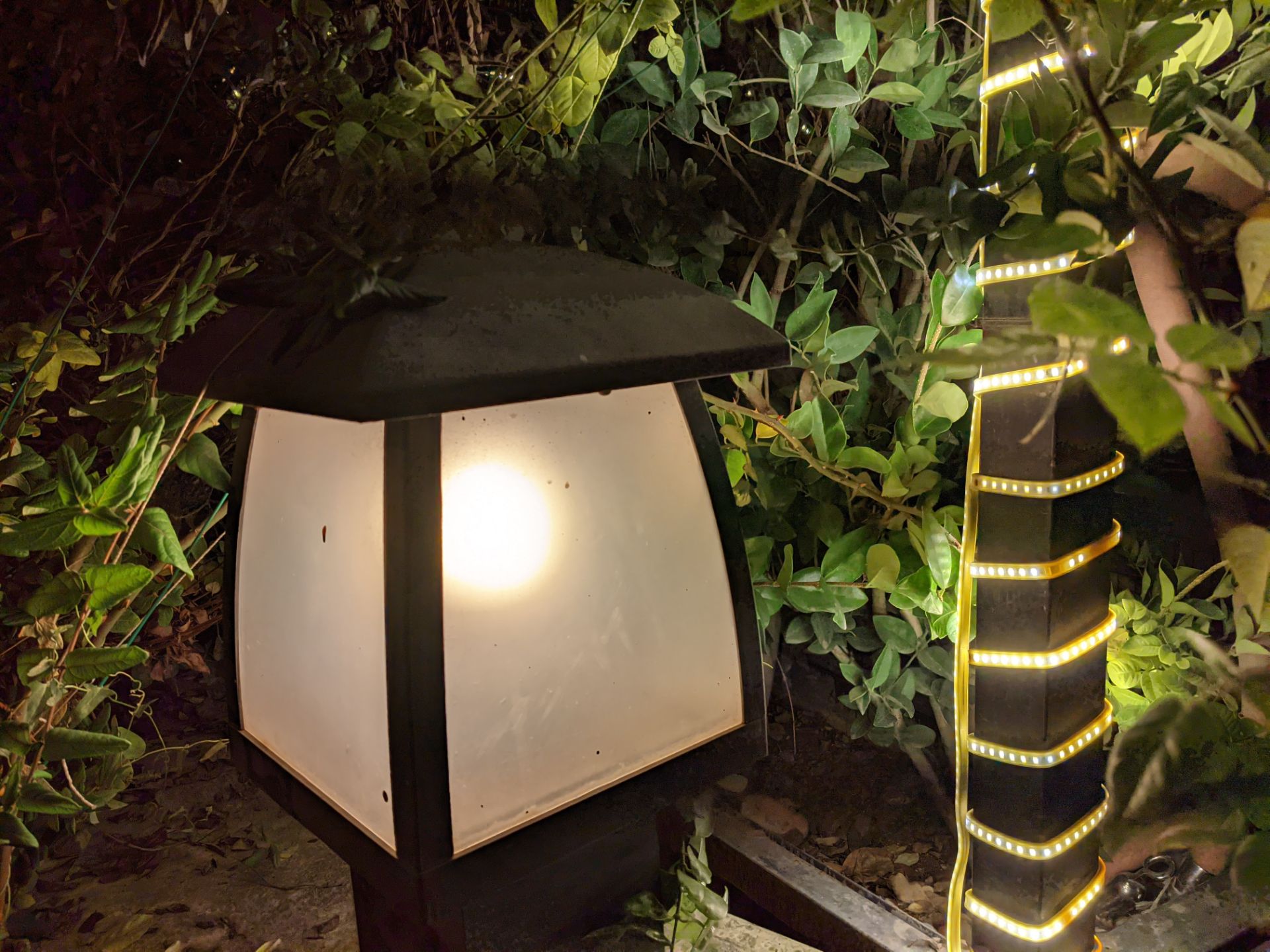 عکس نمونه دوربین اصلی پیکسل ۵ در تاریکی - چراغی در پارک آب و آتش تهران