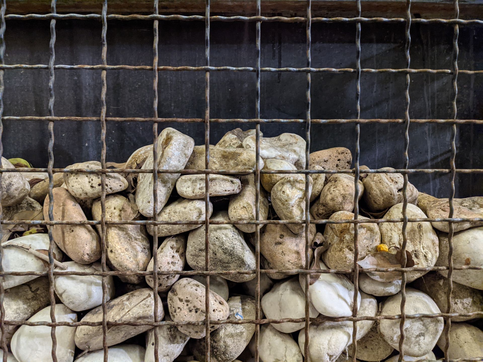 عکس نمونه دوربین اصلی پیکسل ۵ در تاریکی - تکه سنگ‌هایی در پارک آب و آتش تهران