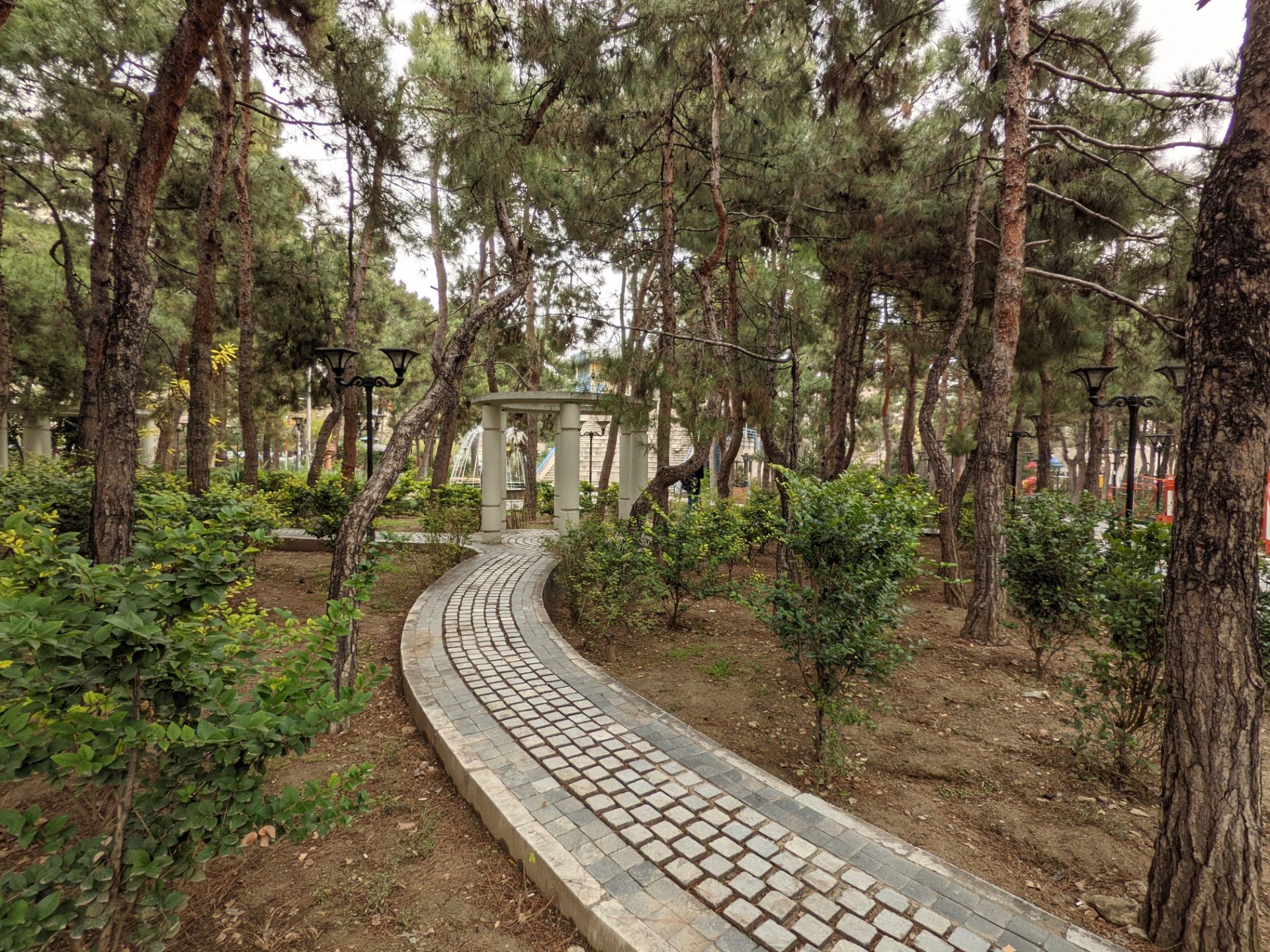 عکس نمونه دوربین اولتراواید پیکسل ۵ در طول روز - منظره پارک صبا