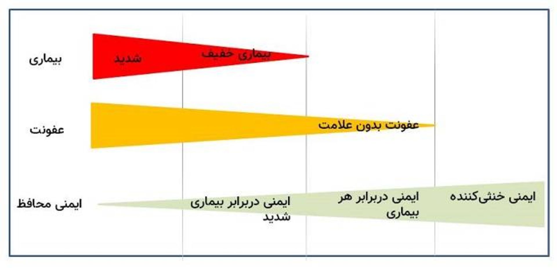 رابطه شدت عفونت و ایمنی / infection severity and protective immunity