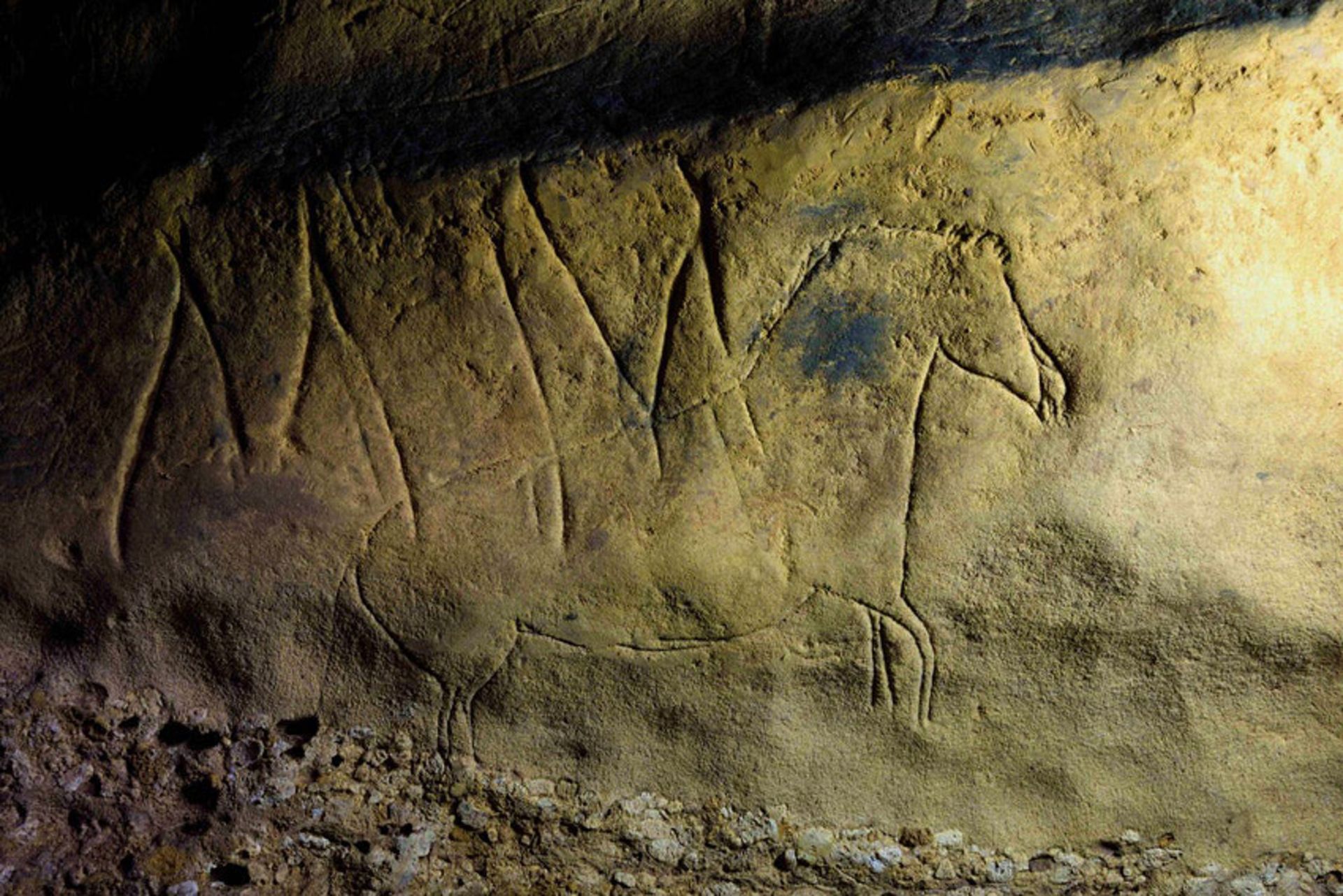 مرجع متخصصين ايران كشف غارنگاره‌هاي ۱۵ هزار ساله در كاتالونياي اسپانيا