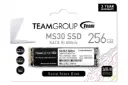 جعبه SSD تیم گروپ TeamGroup MS30 SATA M.2 2280 256GB ظرفیت 256 گیگابایت
