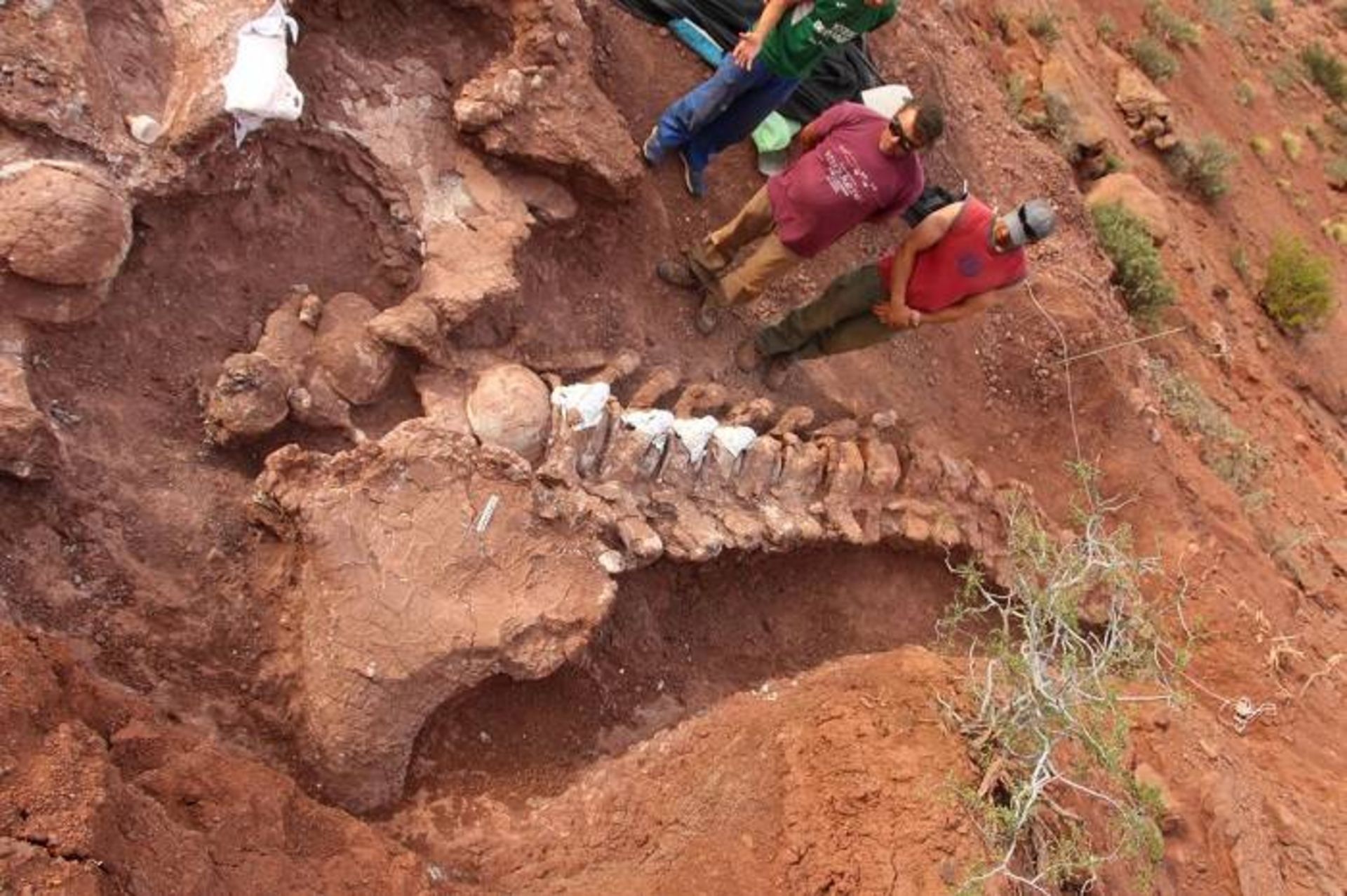 مرجع متخصصين ايران محل كاوش تيتاناسور در آرژانتين / titanosaur excavation site