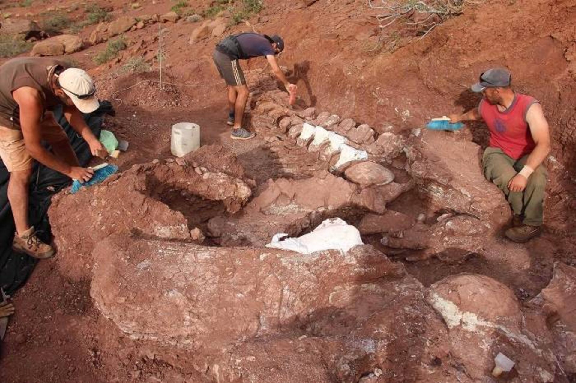 مرجع متخصصين ايران محل كاوش   / titanosaur excavation site