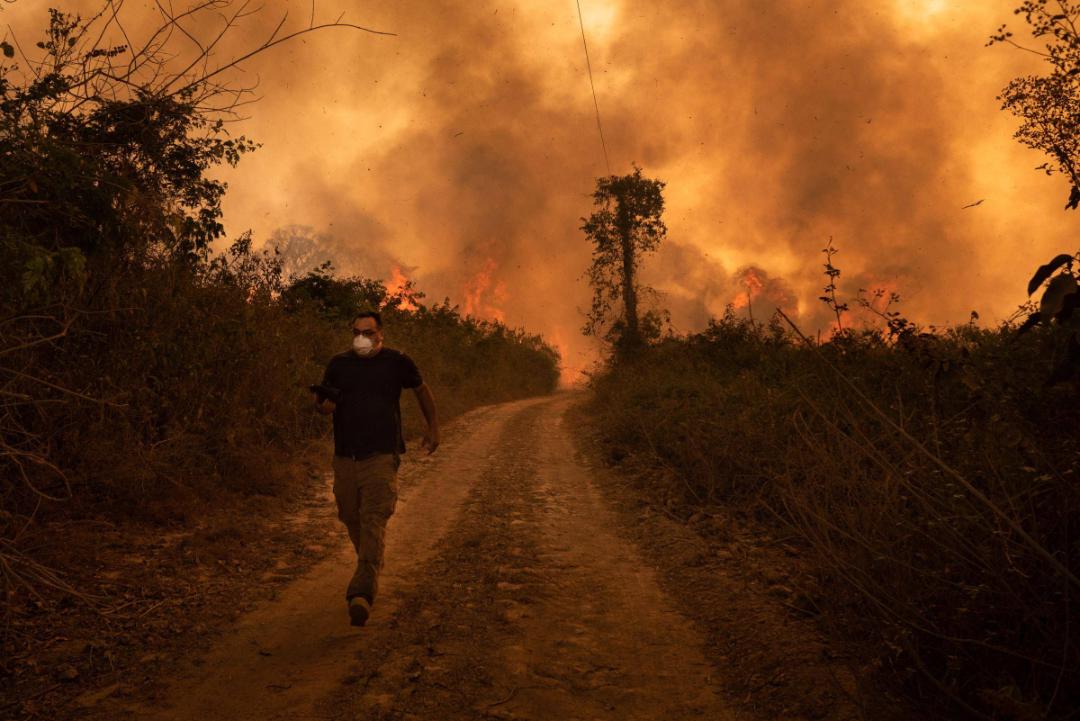 آتش سوزی طبیعی / wildfire