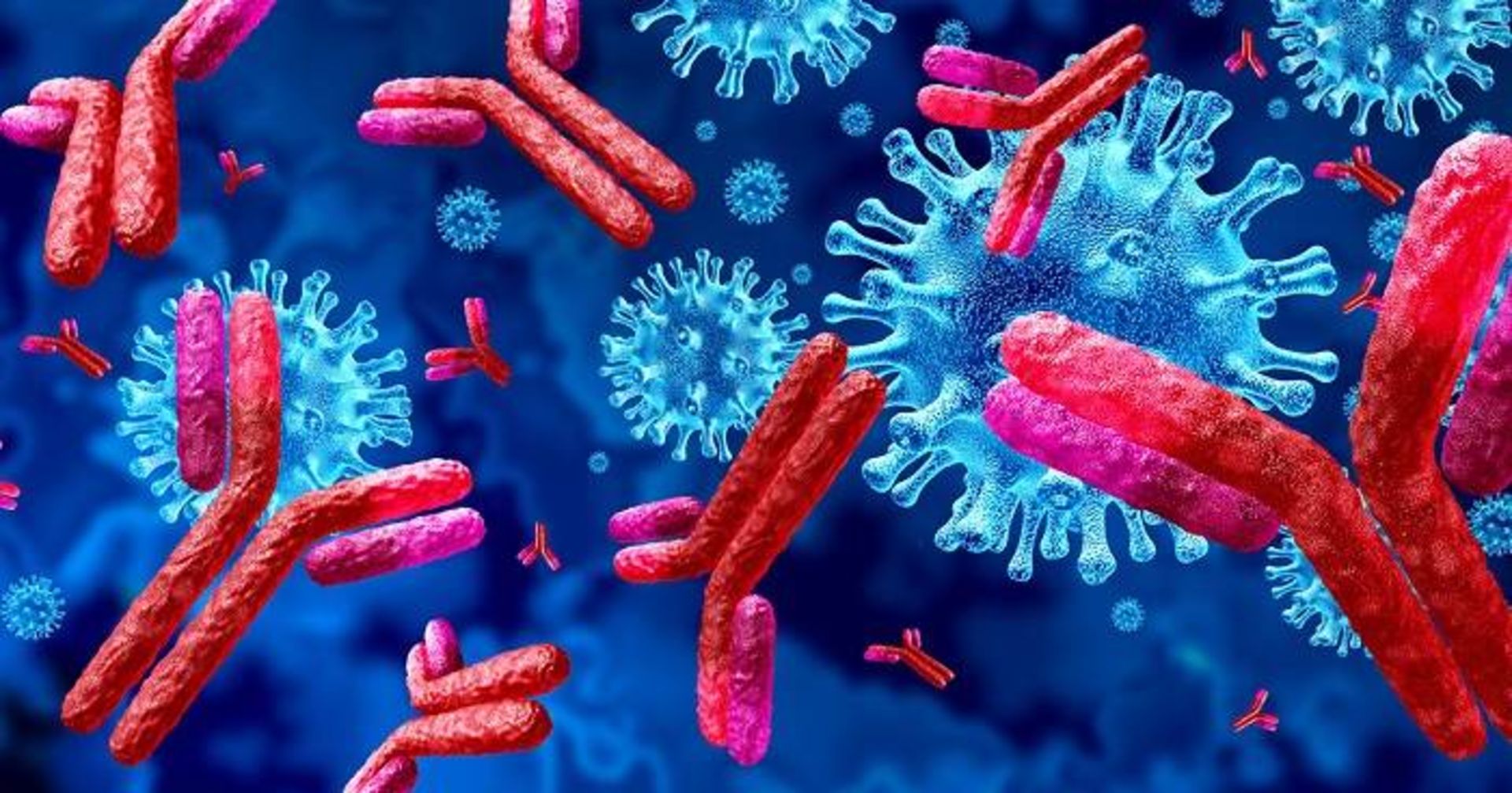 آنتی بادی ها و ویروس کرونا