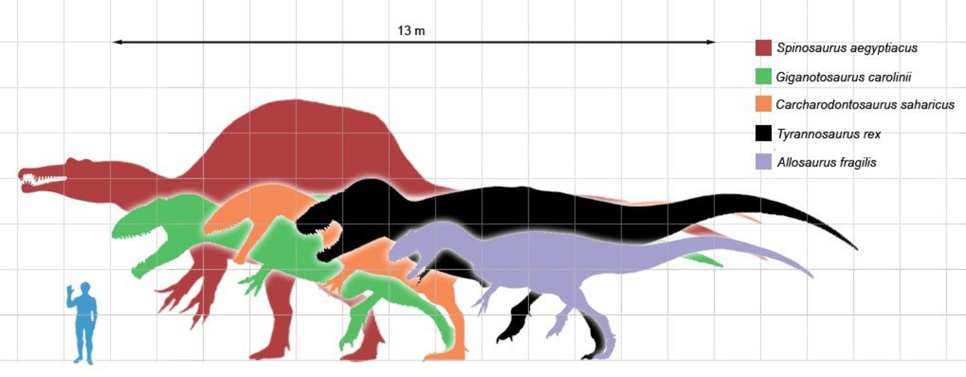 مقایسه طول دایناسورها