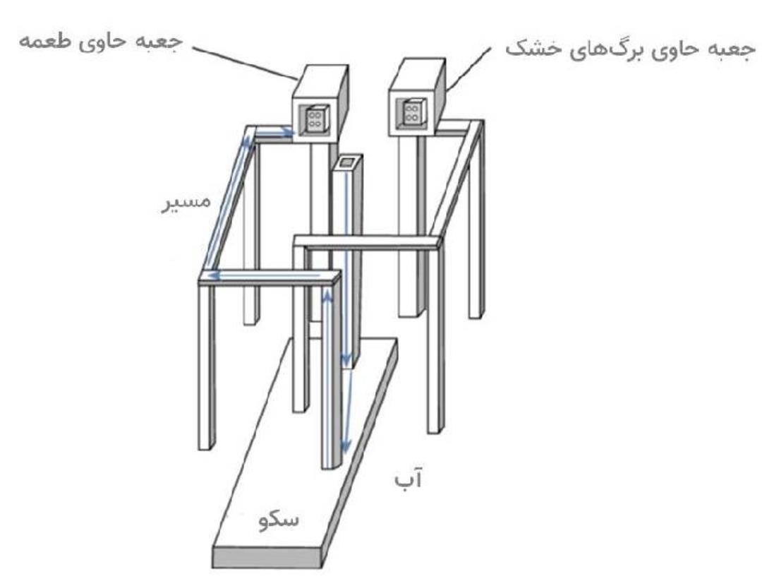 آزمایش قدرت برنامه ریزی عنکبوت های جهنده