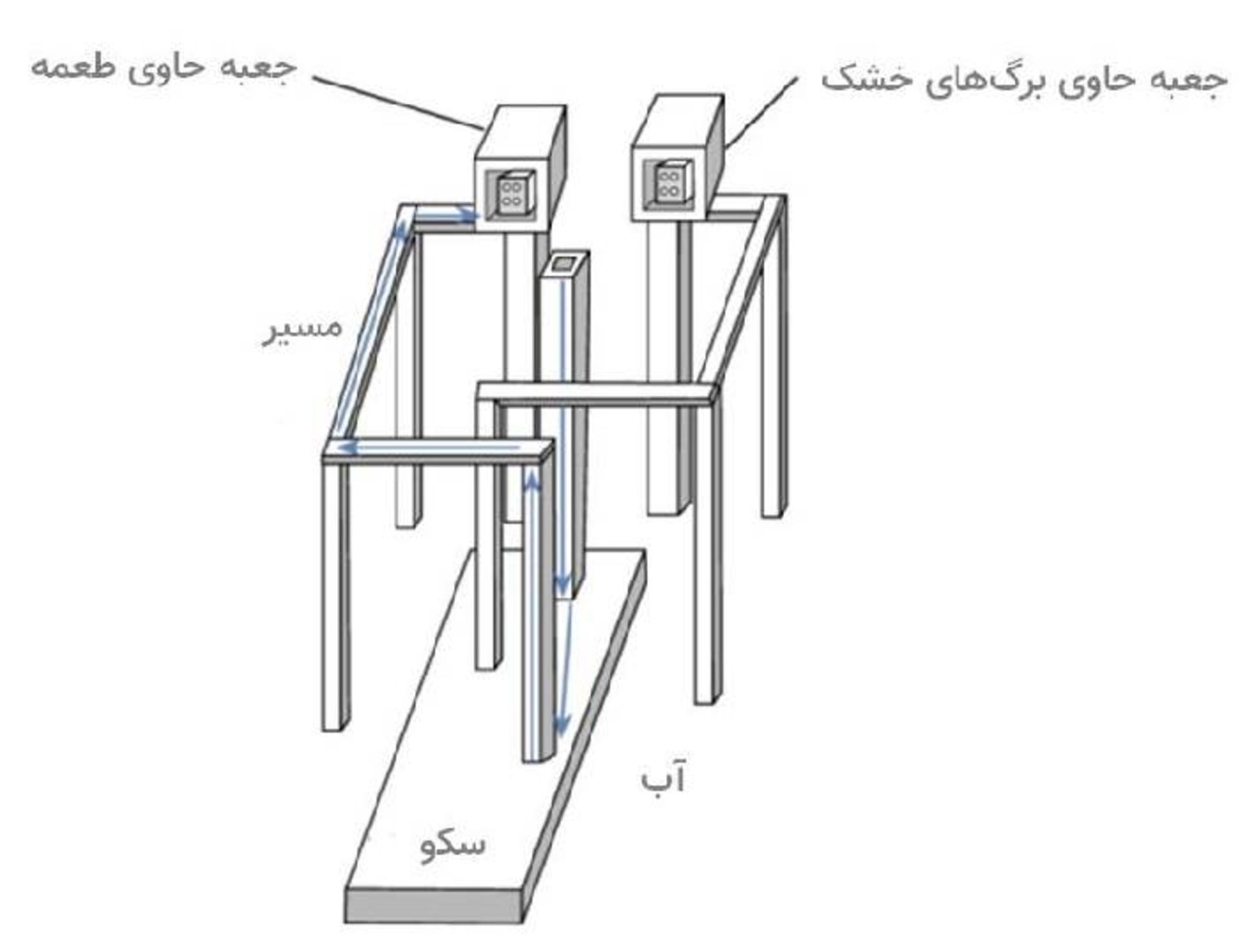 آزمایش قدرت برنامه ریزی عنکبوت های جهنده