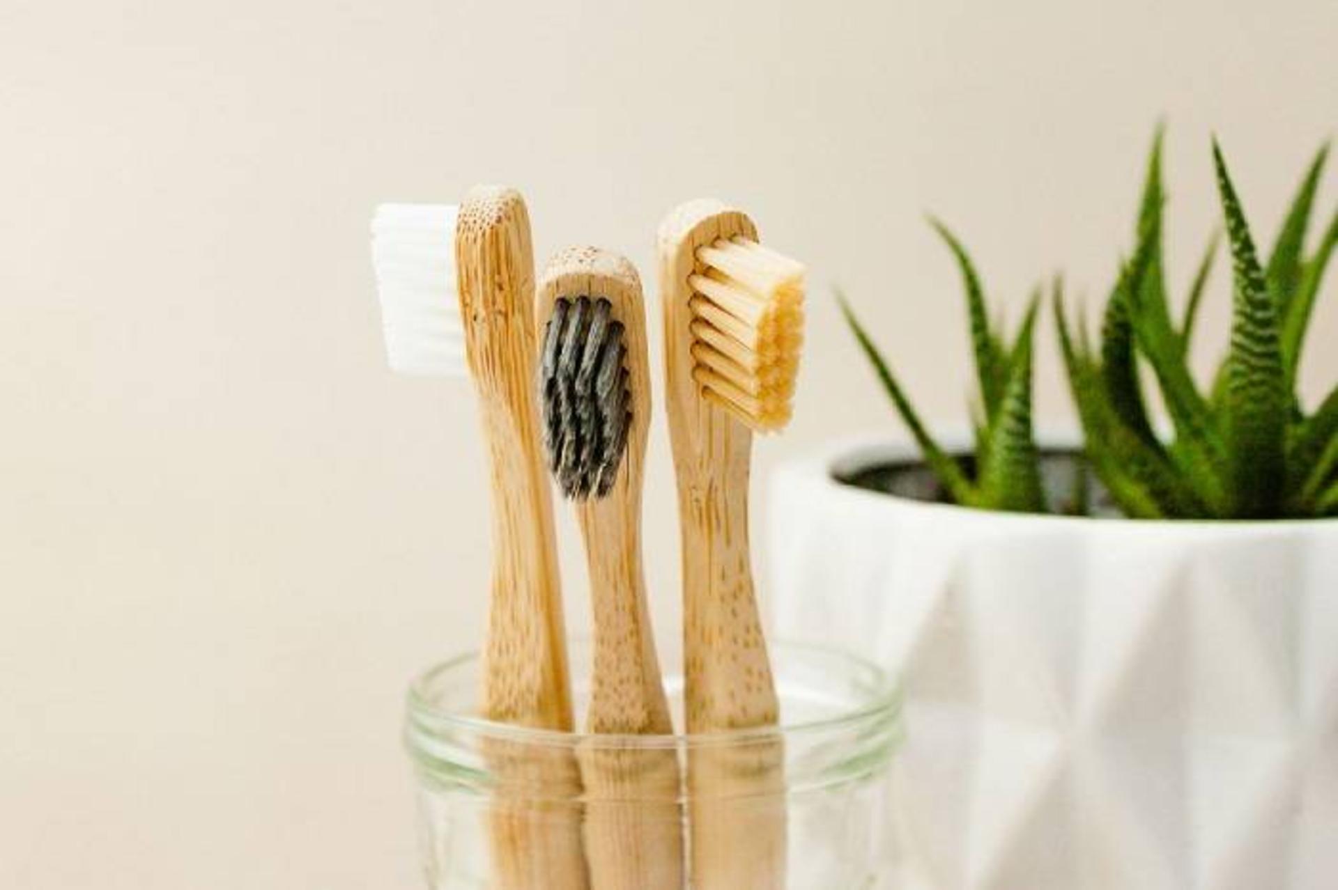 مسواک / toothbrush