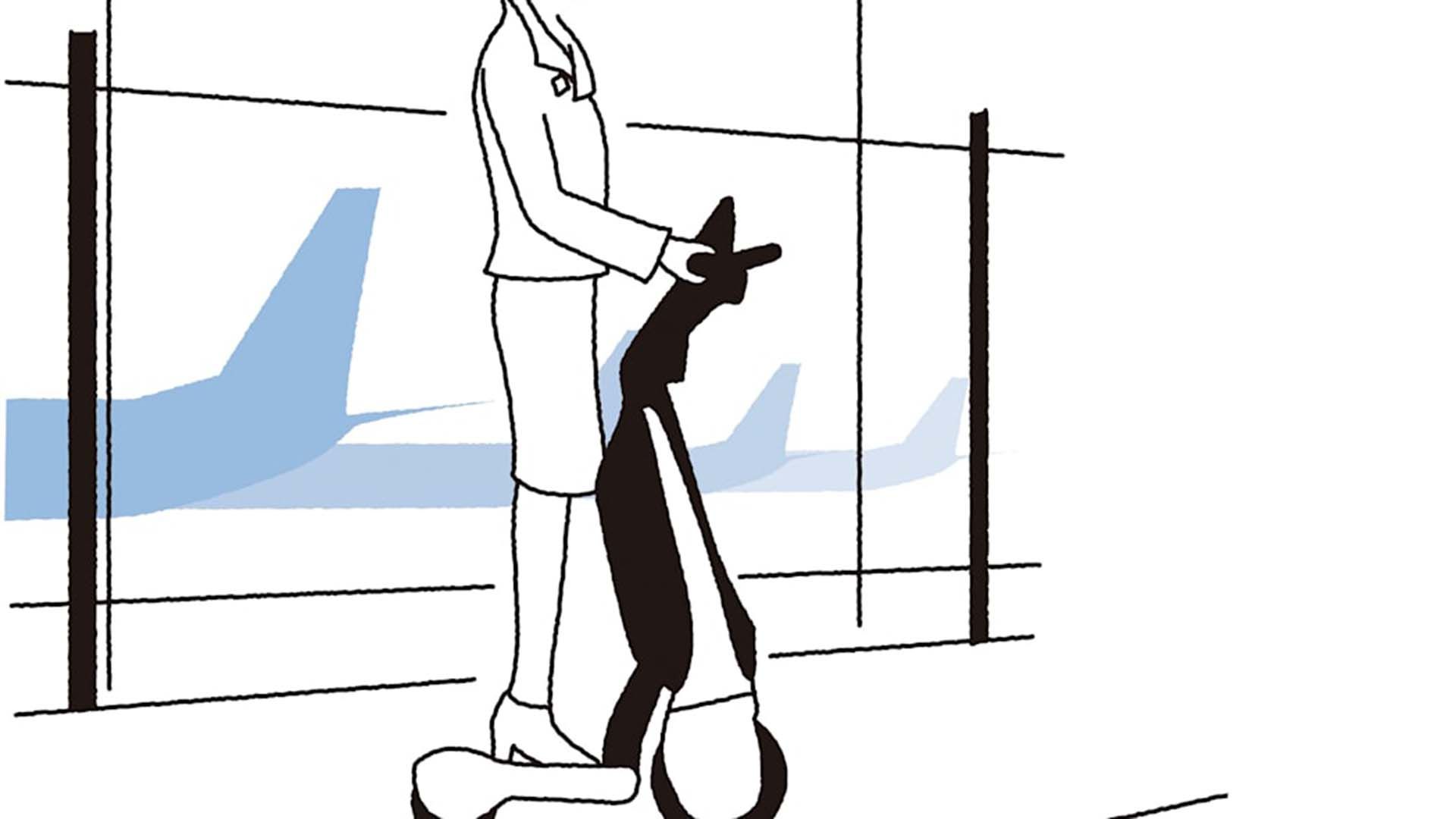 کاربرد اسکوتر برقی سه چرخه تویوتا / Toyota C+walk electric scooterبرای زنان