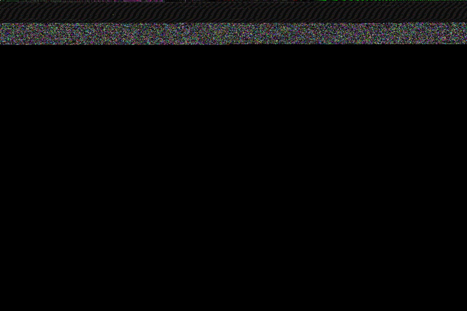 عکاس پرنده سال ۲۰۲۱