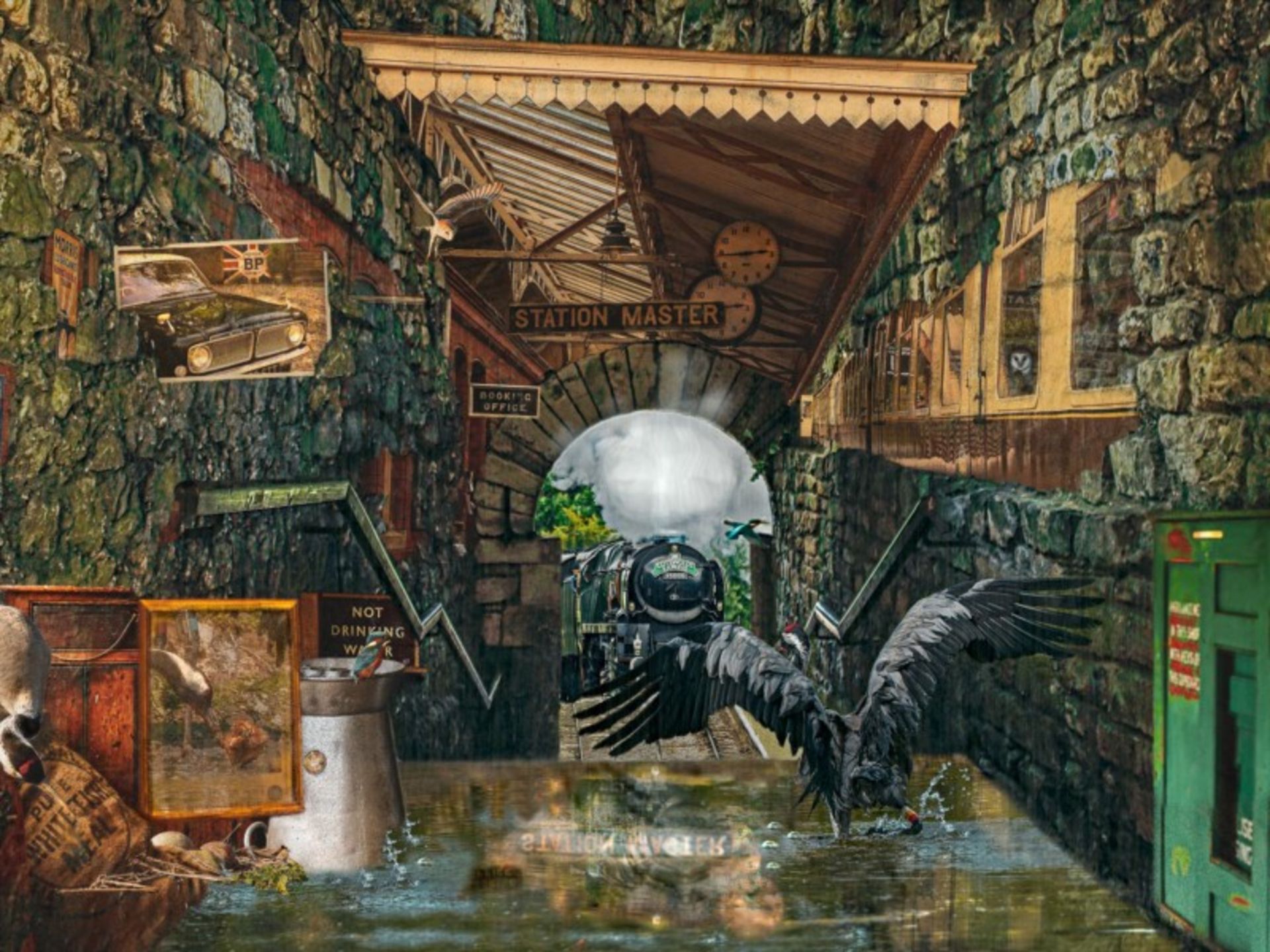 عکاس پرنده سال ۲۰۲۱