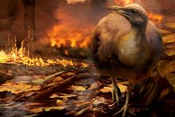 پرنده‌ها چگونه از رویداد برخوردی نابودگر دایناسورها جان سالم به در بردند؟