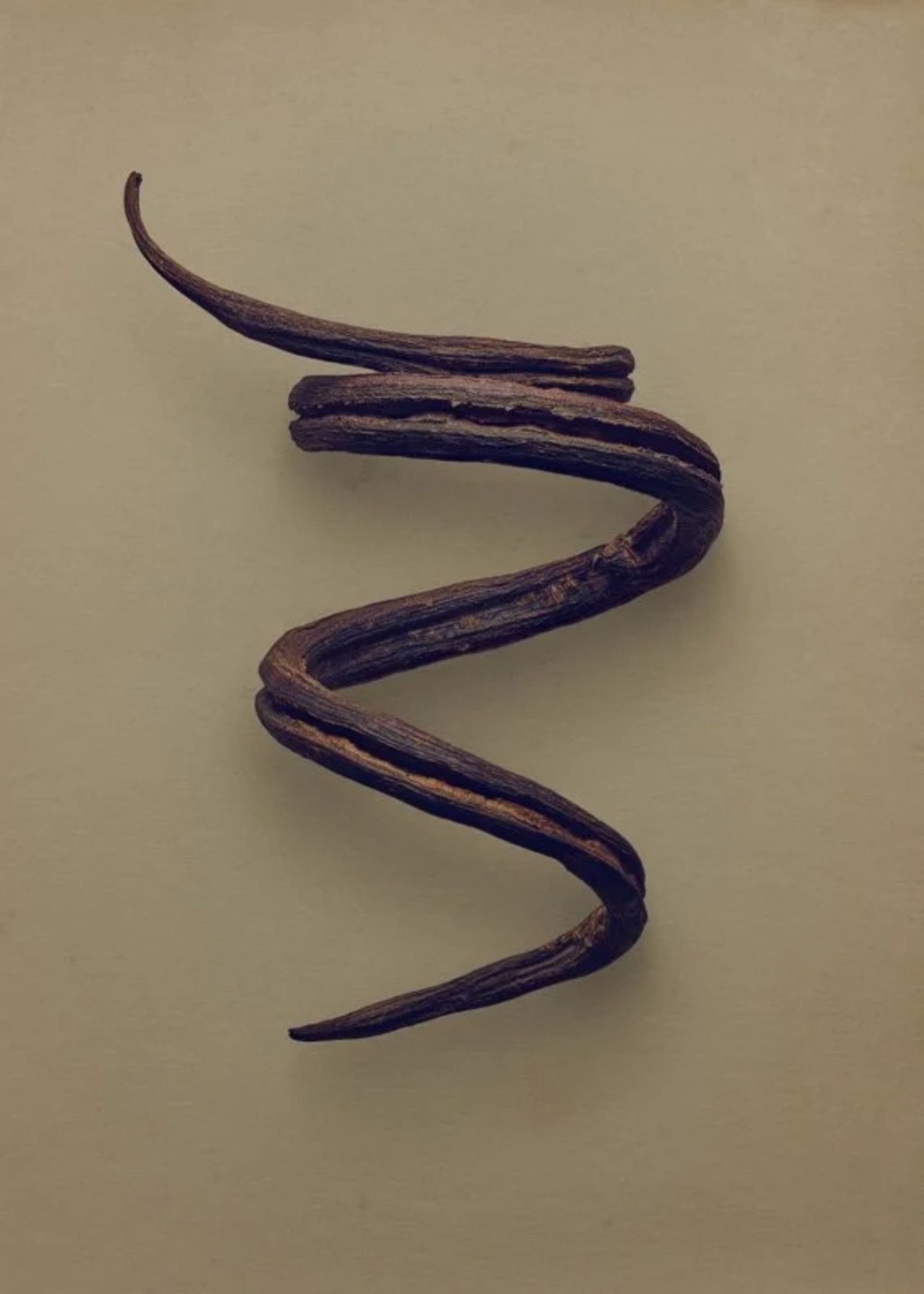 زیبایی مخفی دانه‌ها در عکس‌های ماکرو