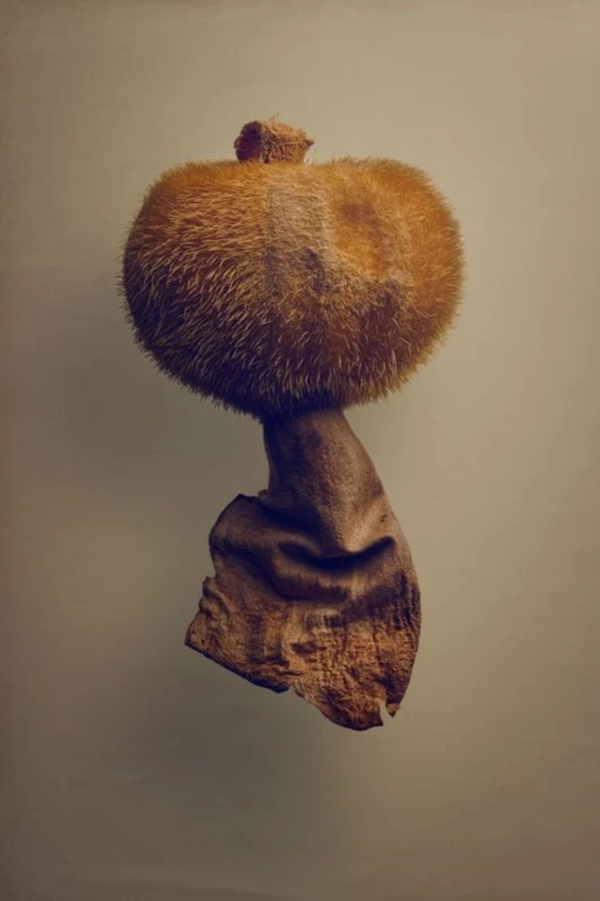 زیبایی مخفی دانه‌ها در عکس‌های ماکرو