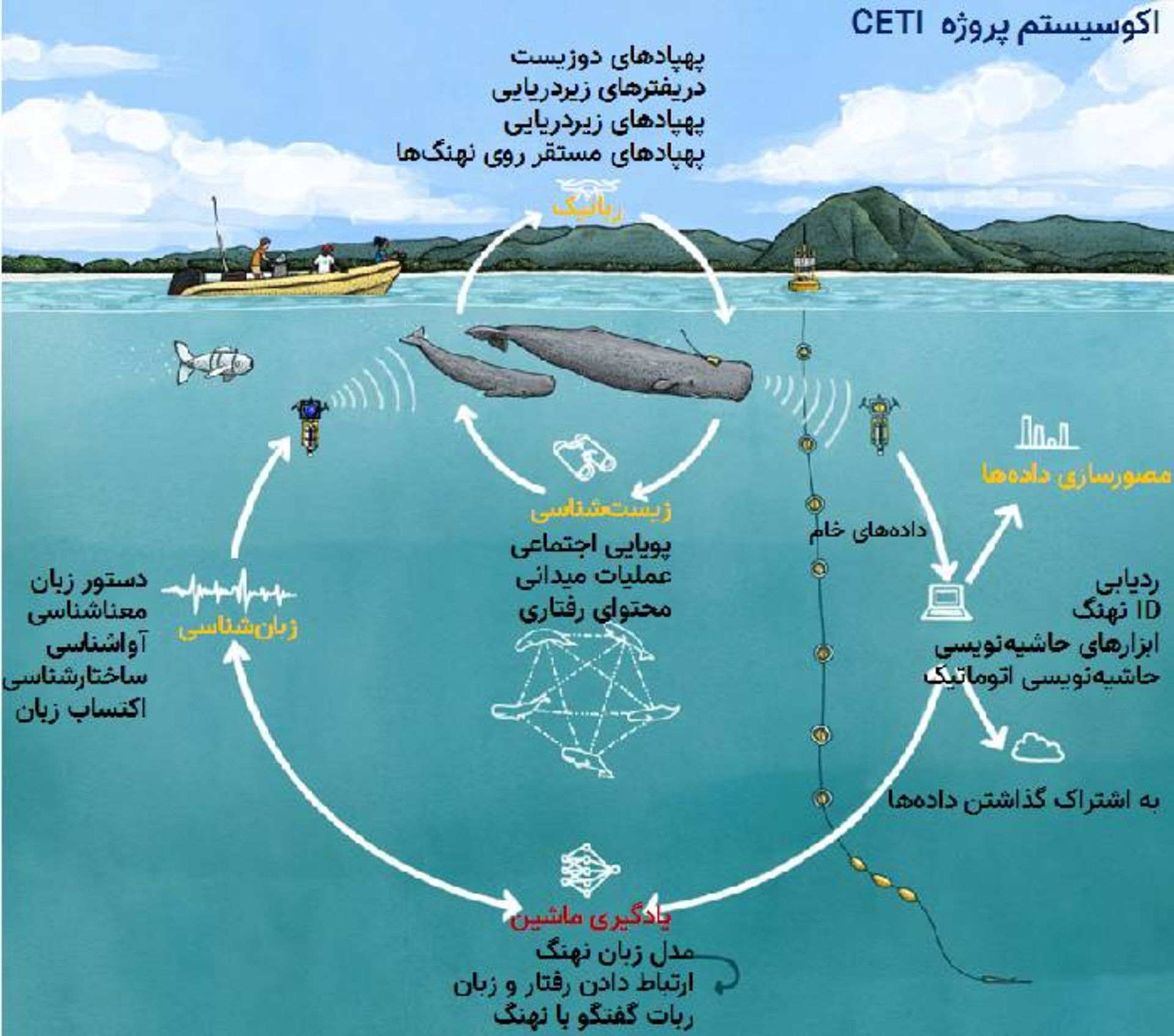 پروژه رمزگشایی از ارتباطات صوتی میان نهنگ های عنبر