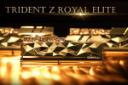 نمای نزدیک رم جی اسکیل Trident Z Royal Elite ظرفیت 32 گیگابایت (2x16) از نوع DDR4-4266