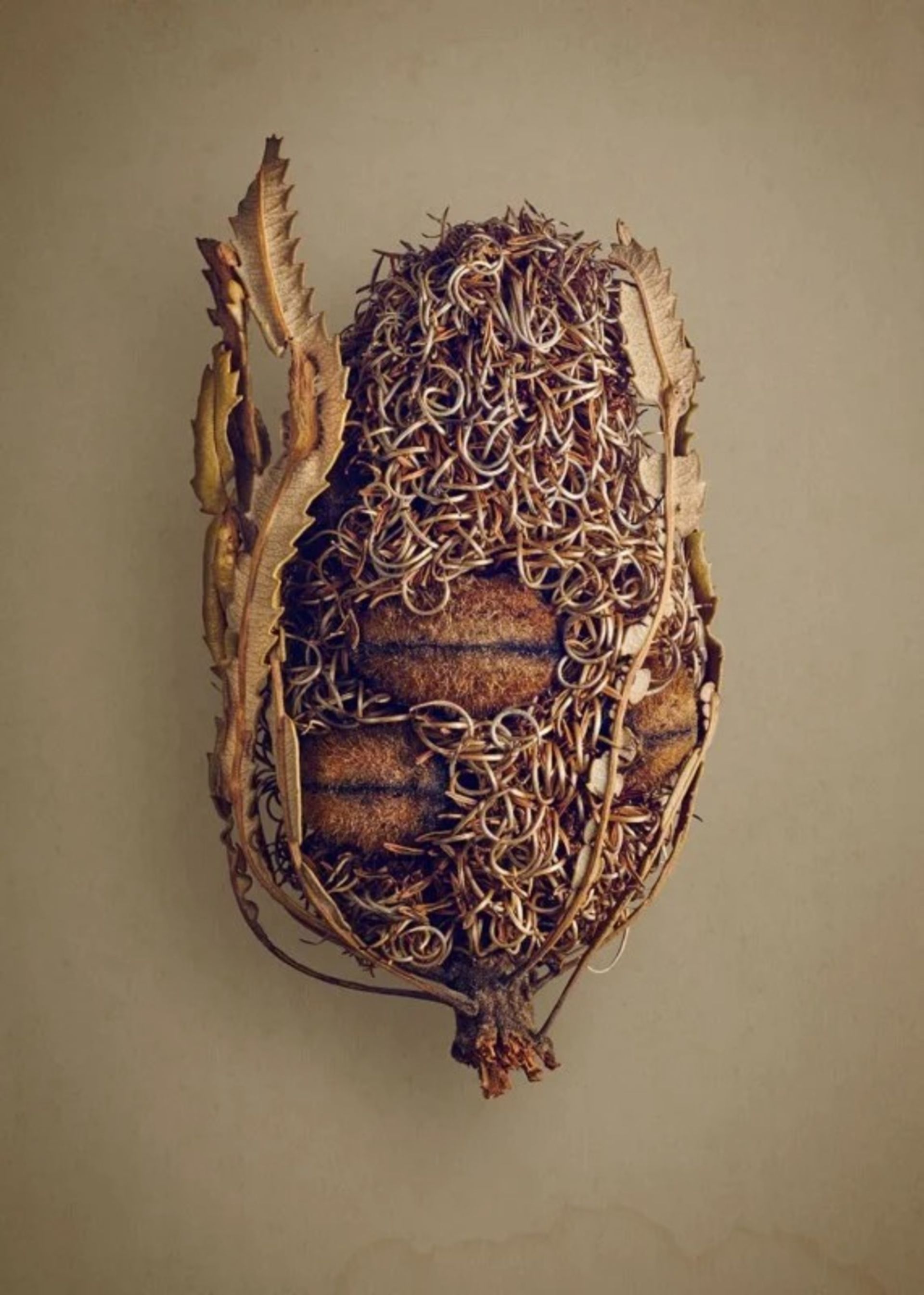 زیبایی مخفی دانه‌ها در عکس‌های ماکرو