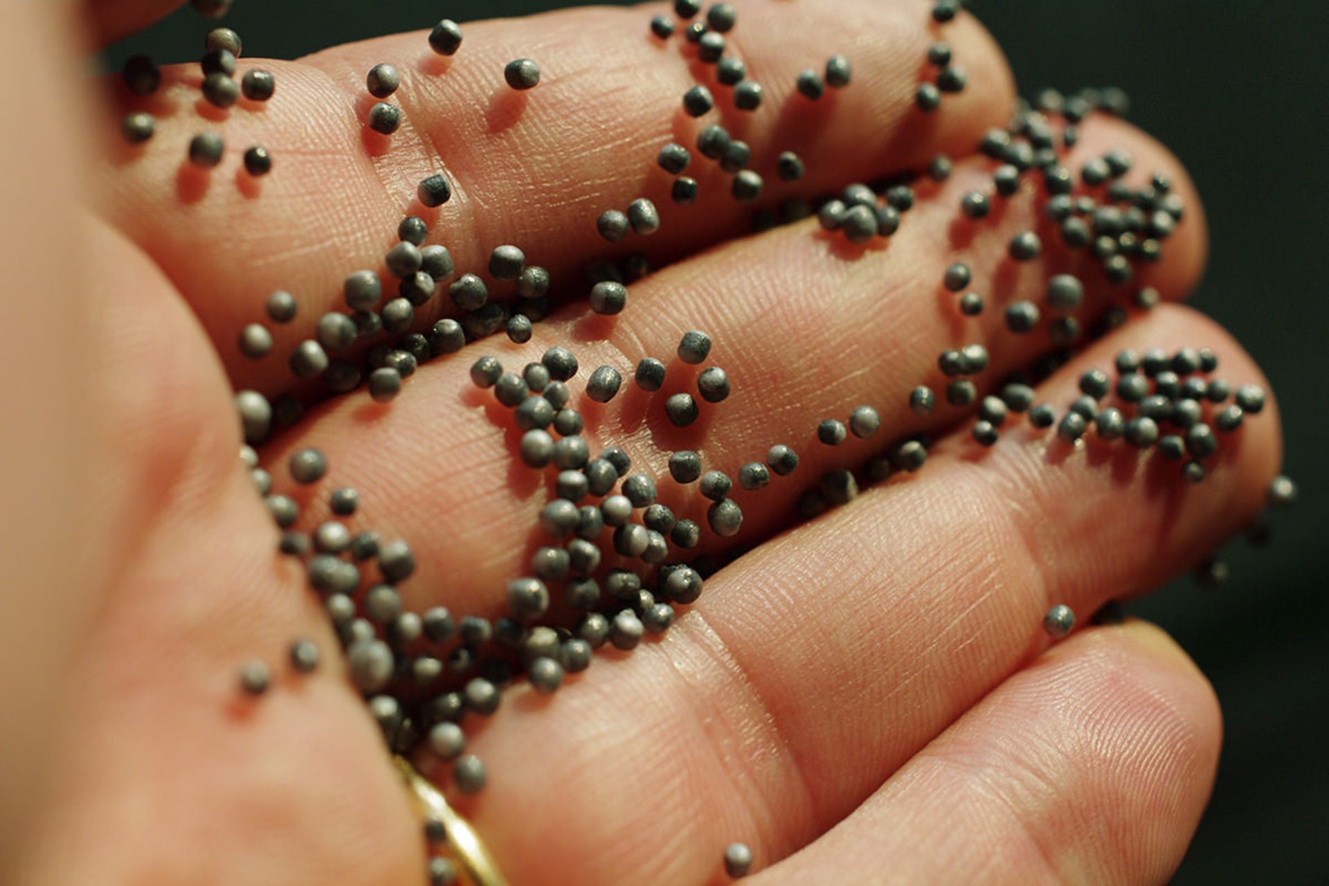 میکروپلاستیک