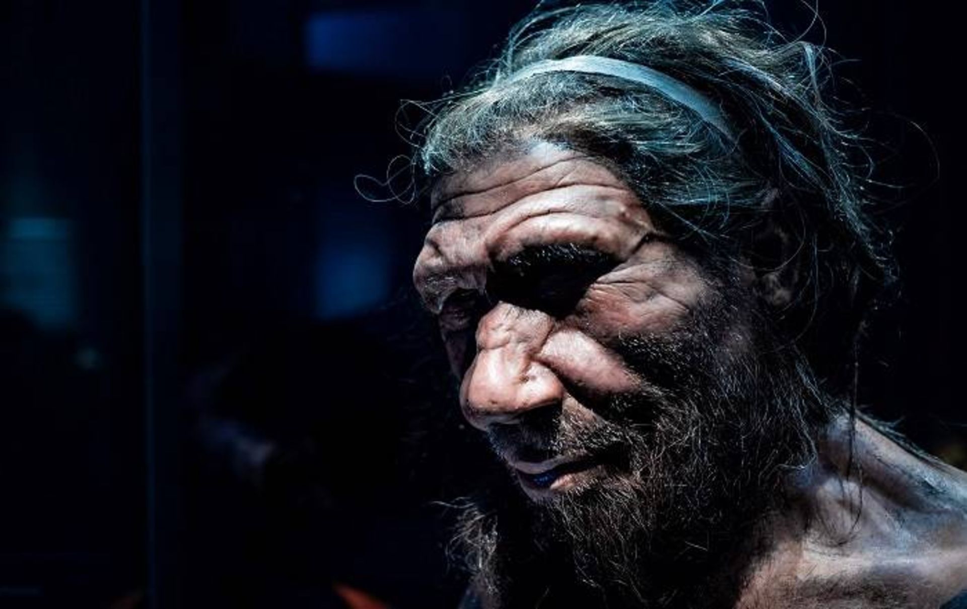 مرد نئاندرتال / Neanderthal