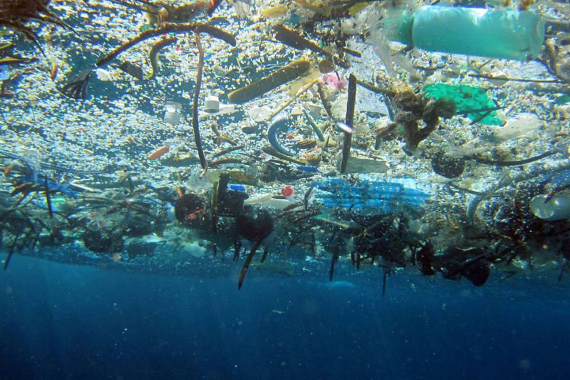 زباله های پلاستیکی در زباله دان بزرگ اقیانوس آرام