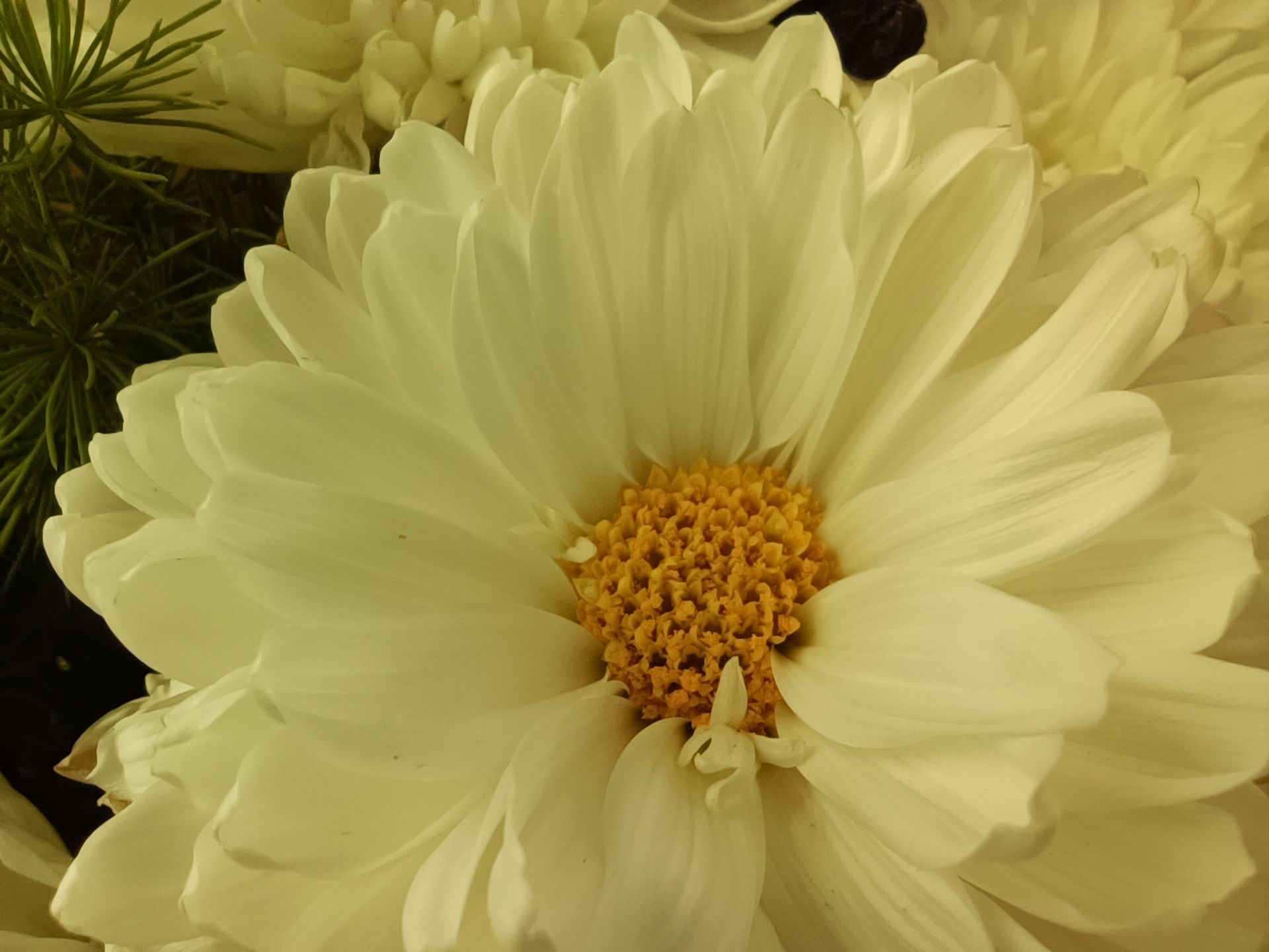 عکس ماکرو پوکو X3 GT