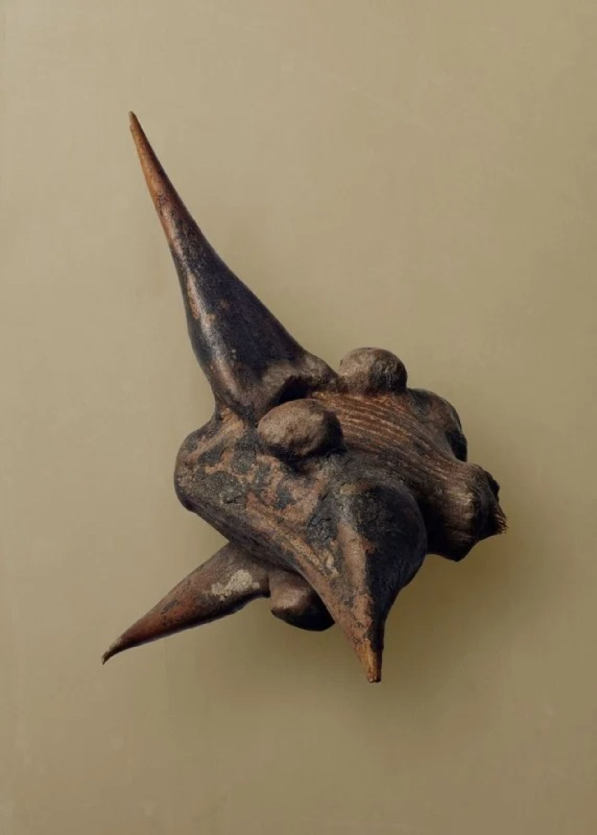 زیبایی مخفی دانه‌ها در عکس‌های ماکرو