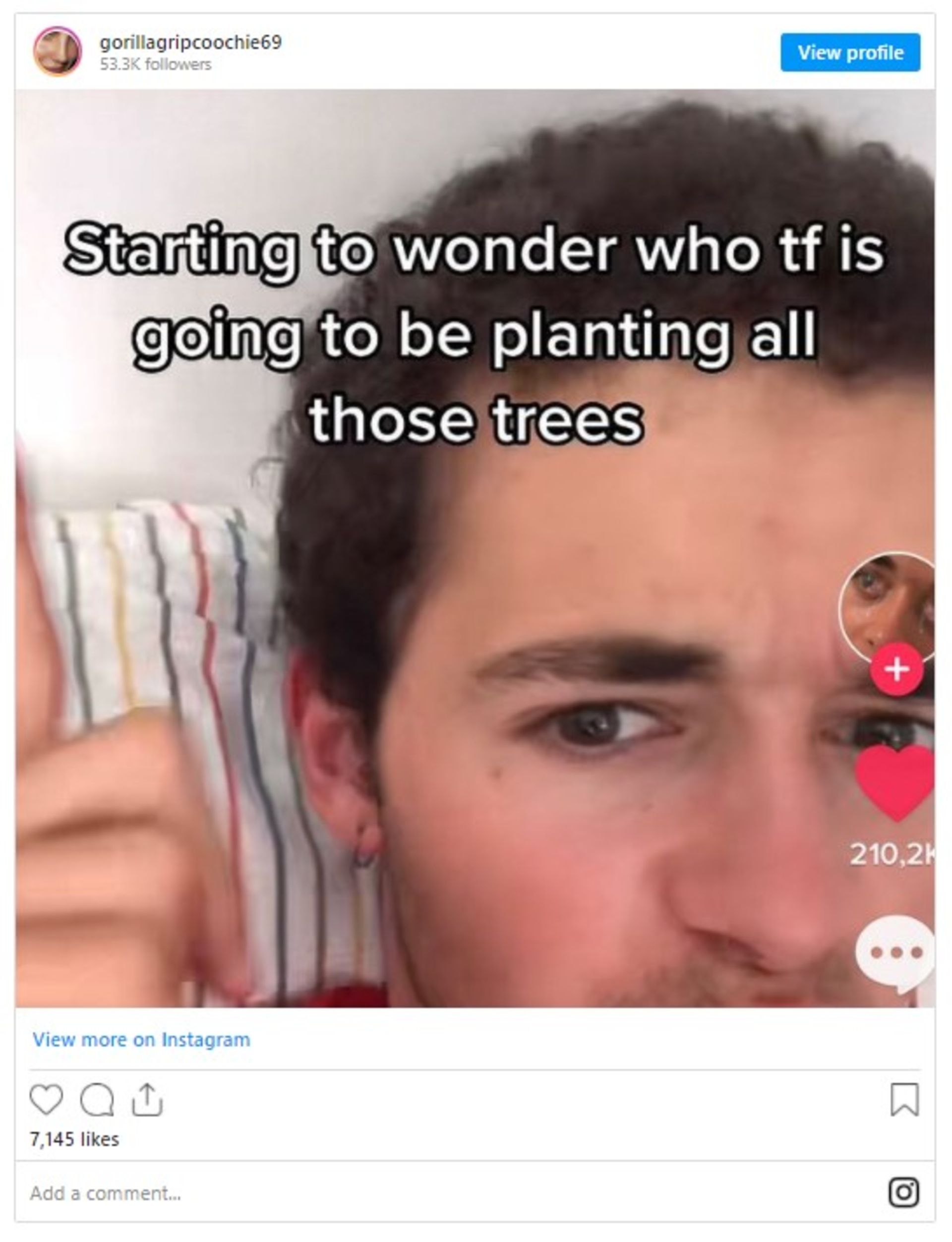 who plants a tree