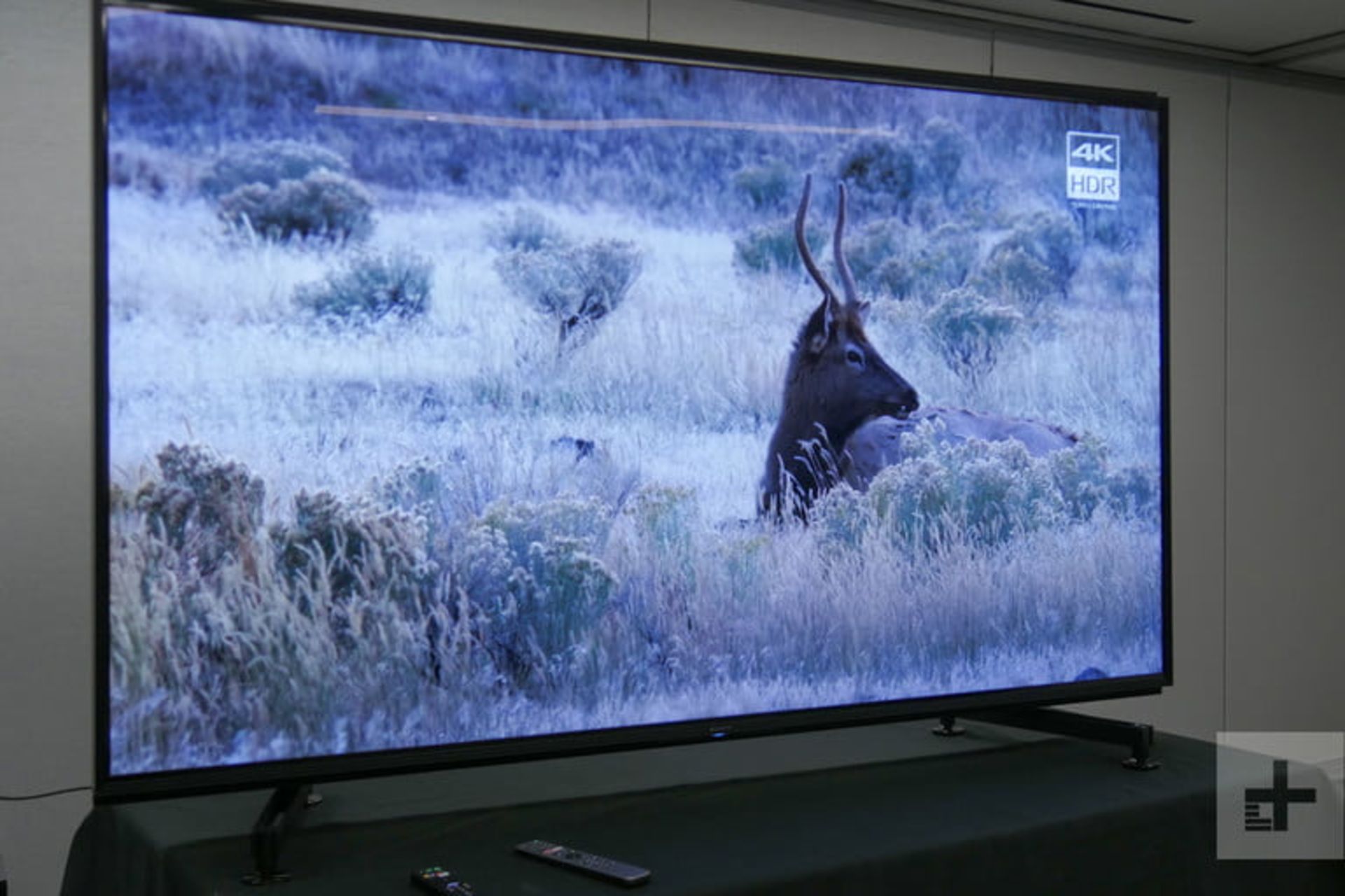 تلویزیون LED