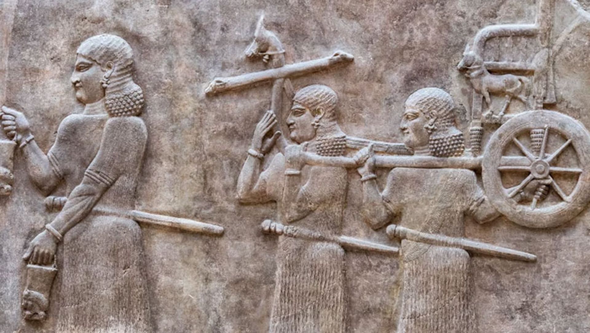 مزارع سّمی مشکان‌شاپیر