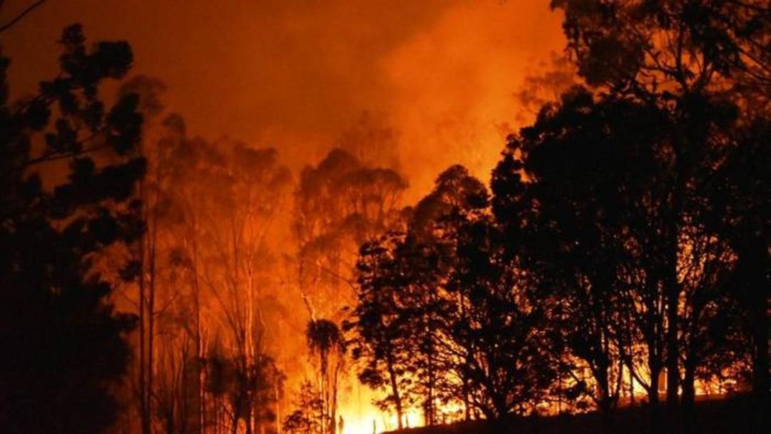 آتش سوزی استرالیا / wildfires