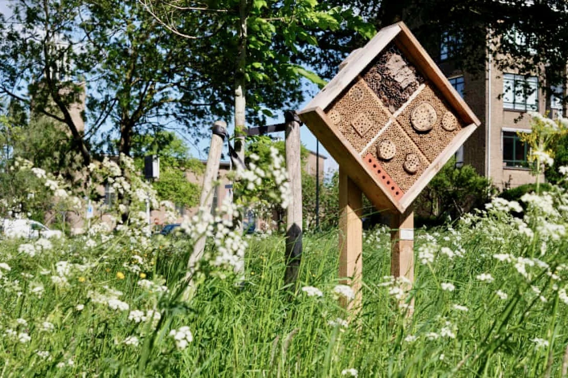 هتل زنبورها