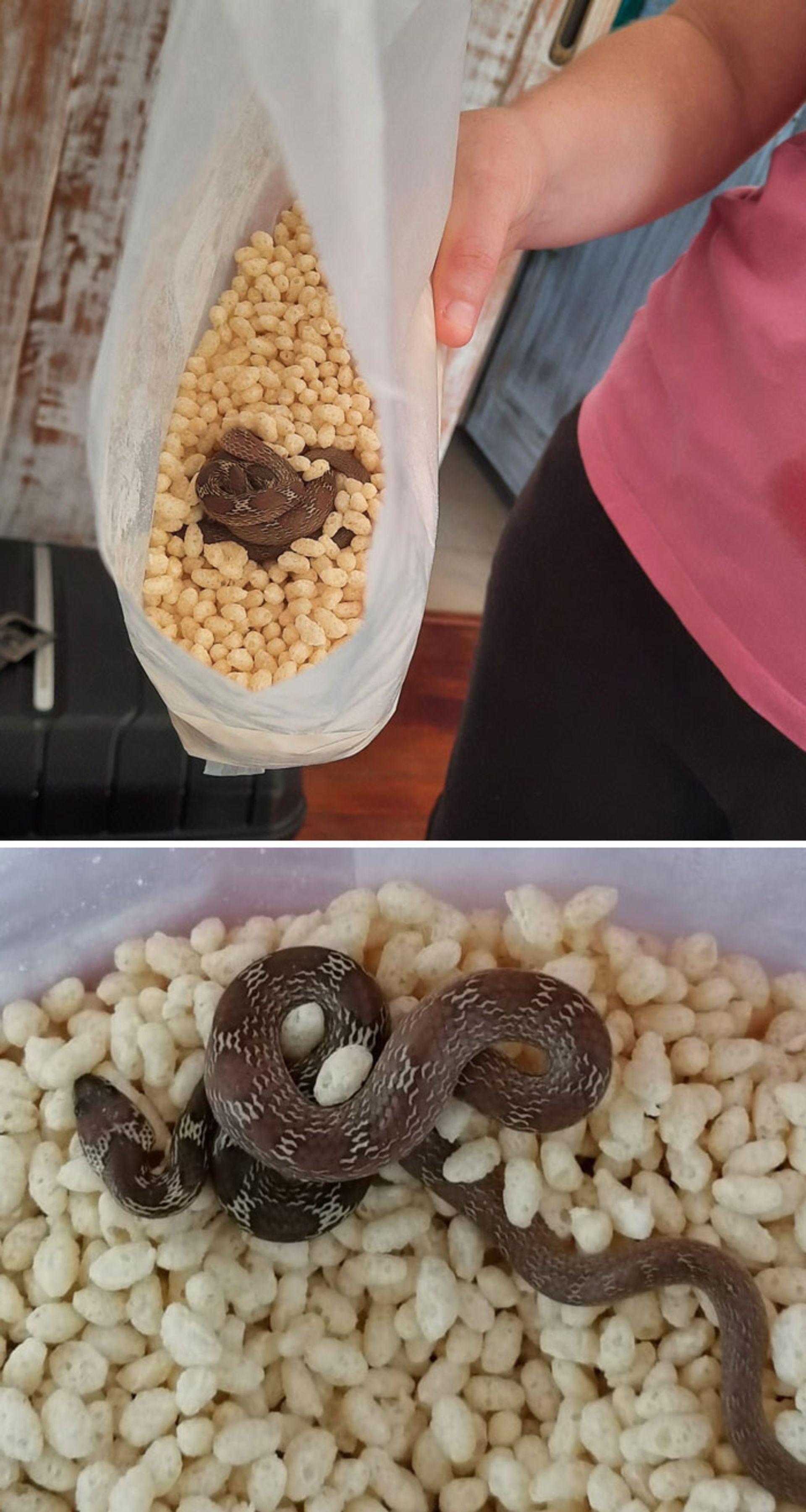 اتفاقات ناگوار