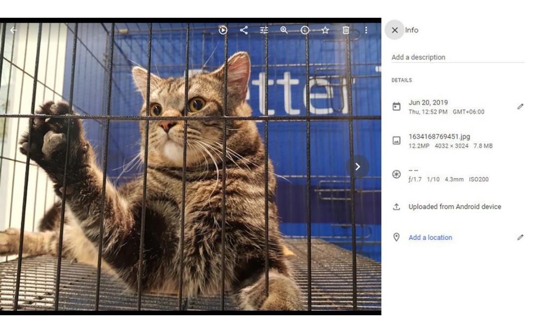 تغییر تاریخ و زمان عکس Google Photos در دسکتاپ-۳