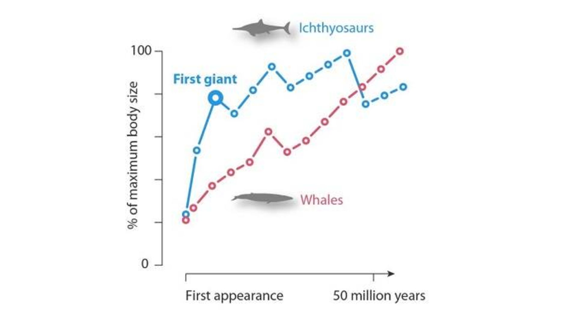 روند تکامل اندازه ایکتیوسور