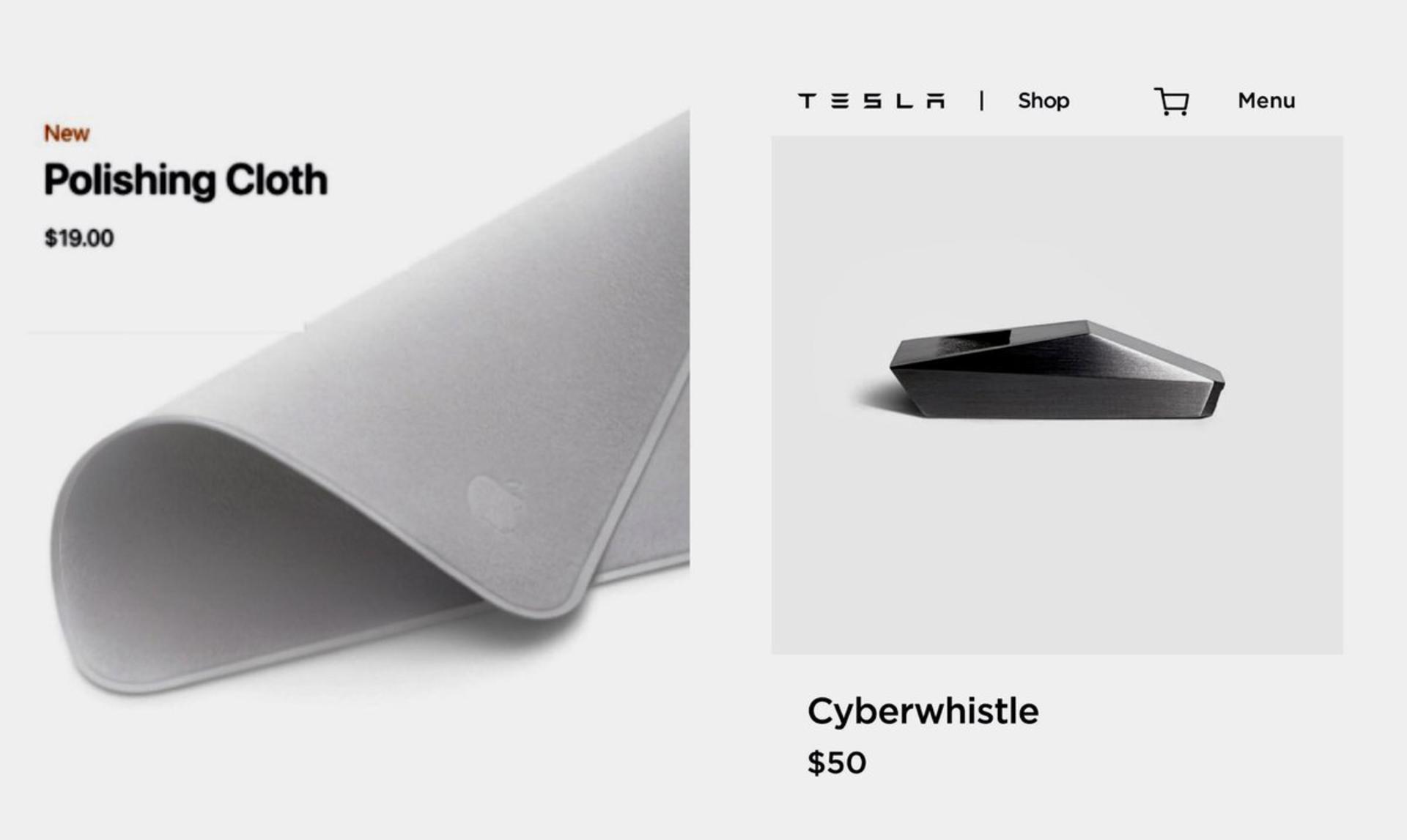 teslawebsite