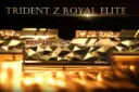 نمای نزدیک رم جی اسکیل Trident Z Royal Elite ظرفیت 16 گیگابایت (2x8) از نوع DDR4-3600