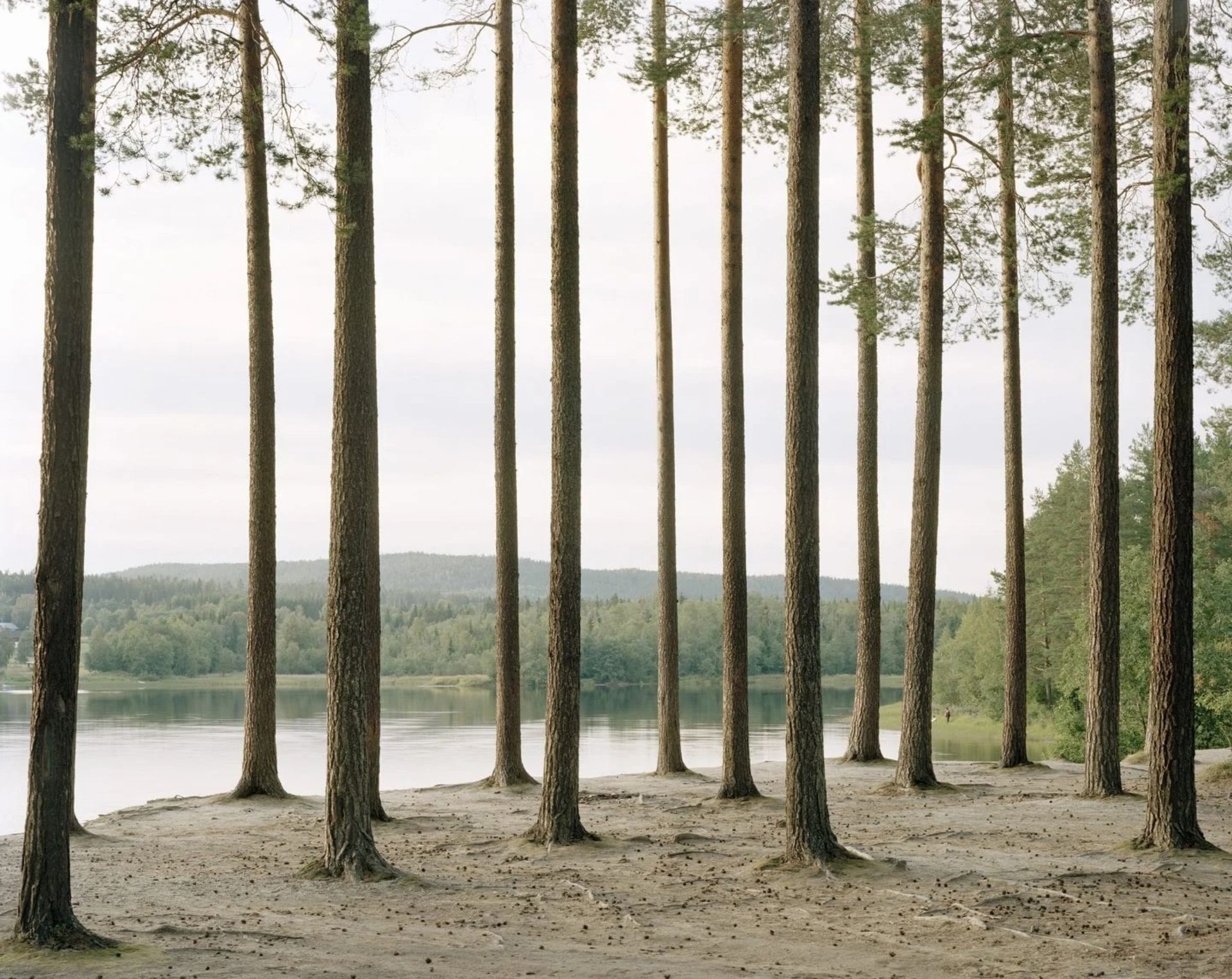 عکاسی مناظر / فلیکس اودل