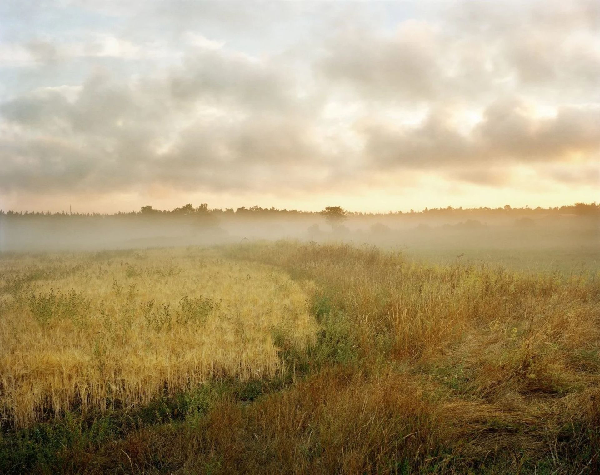 عکاسی مناظر / فلیکس اودل