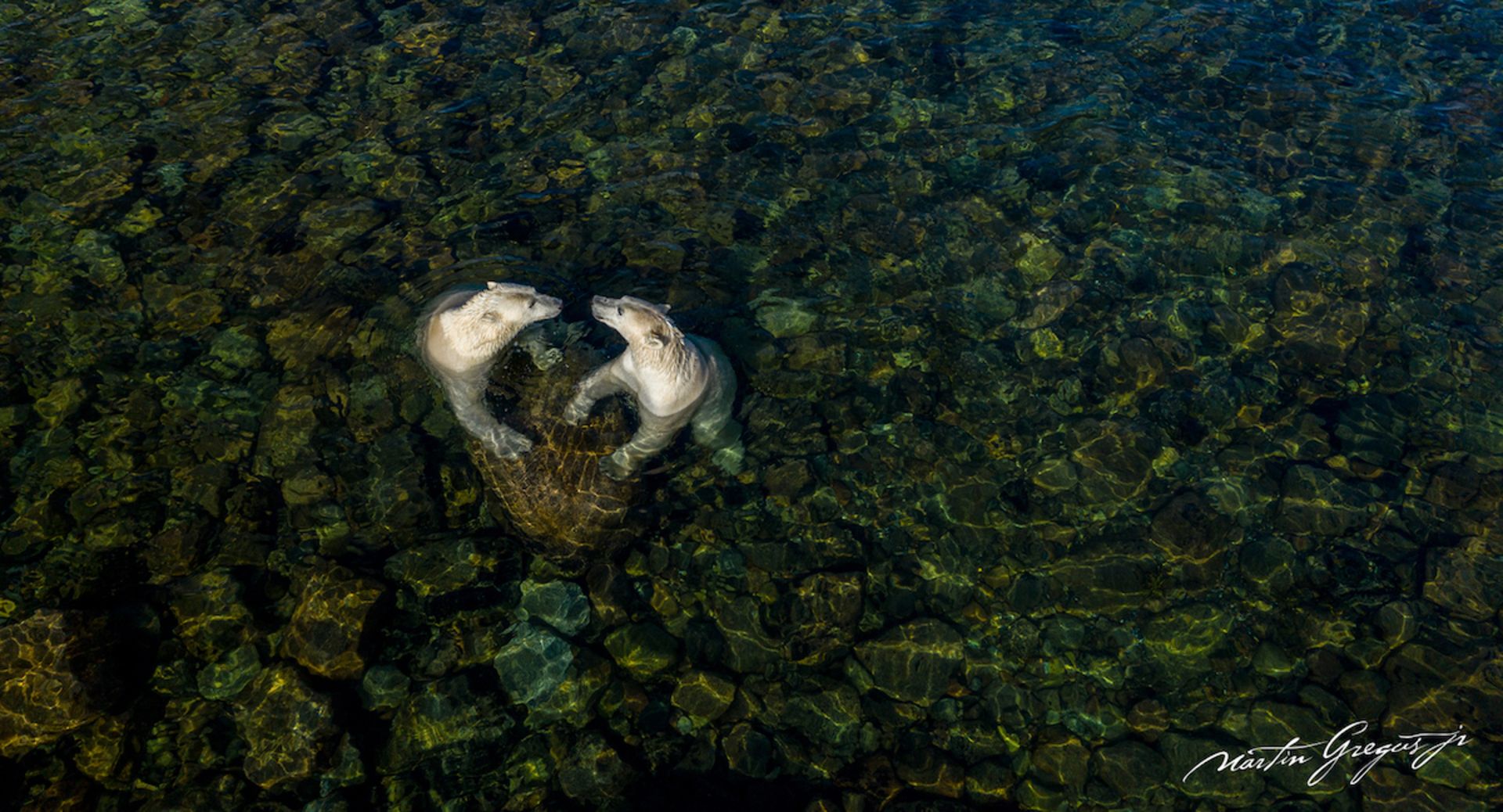 بهترین های سال ۲۰۲۱؛ ۳۰ عکس برتر از سراسر جهان