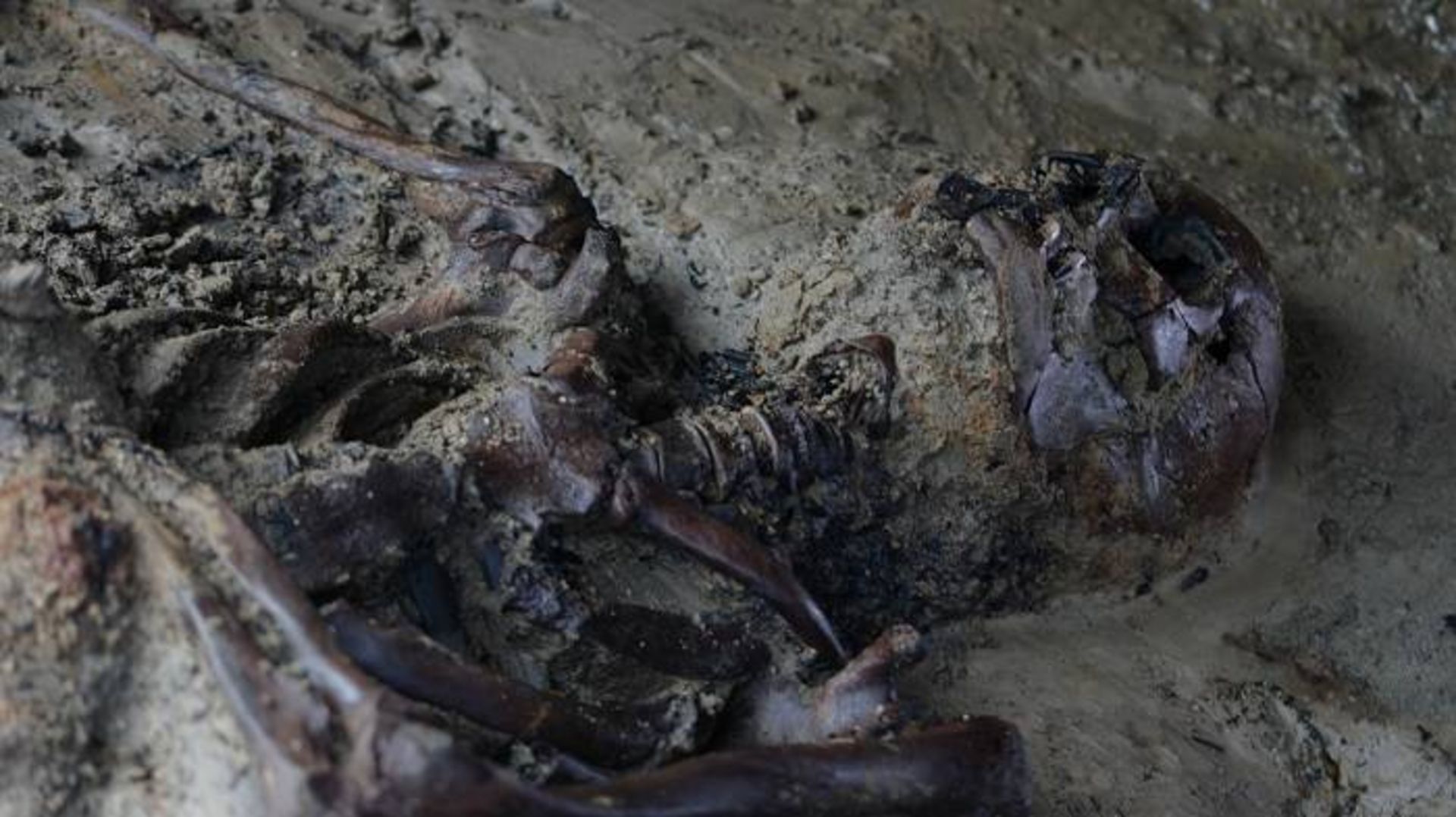 اسکلت پیدا شده در هرکولانیوم / skeleton