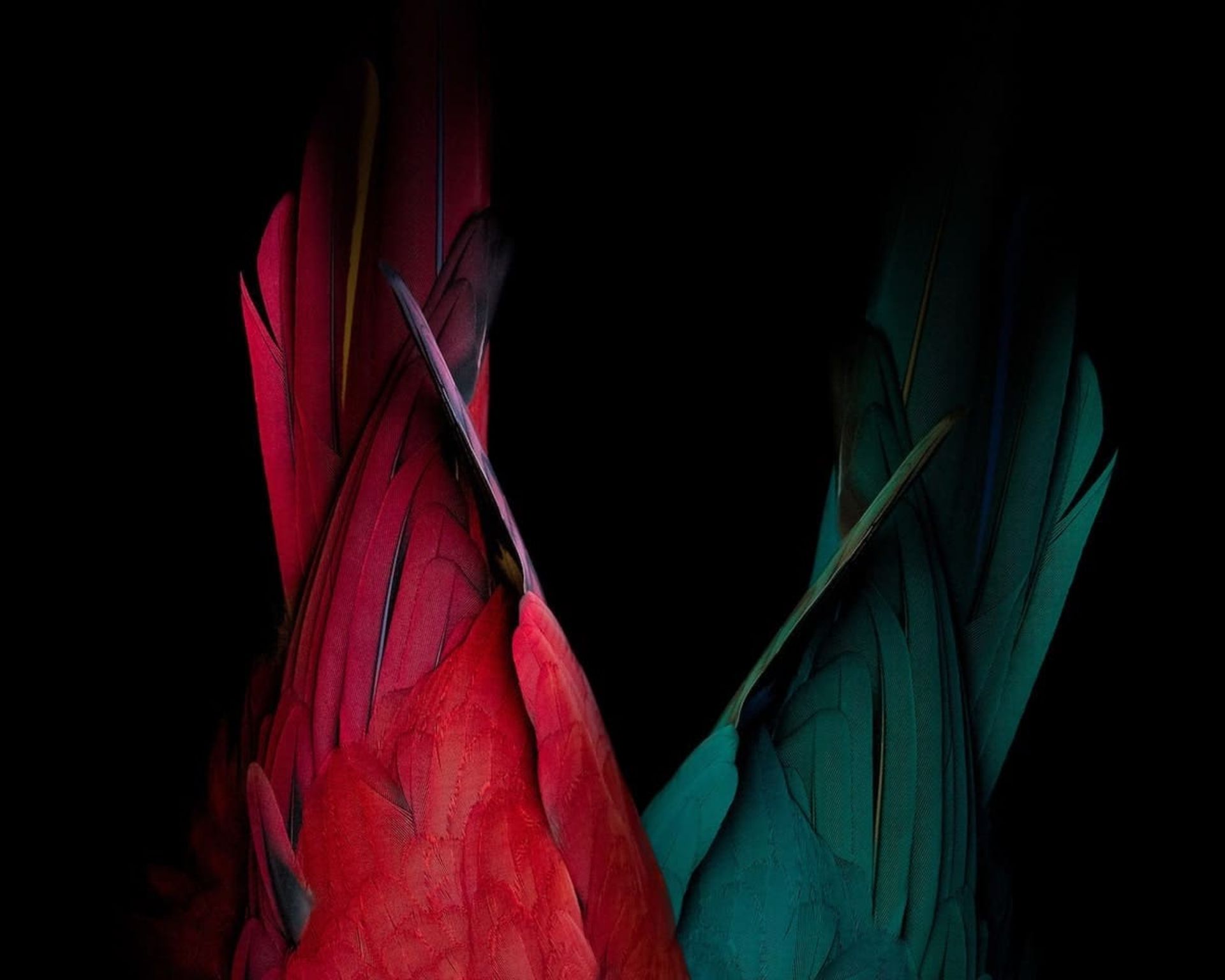 بهترین های سال ۲۰۲۱؛ ۳۰ عکس برتر از سراسر جهان