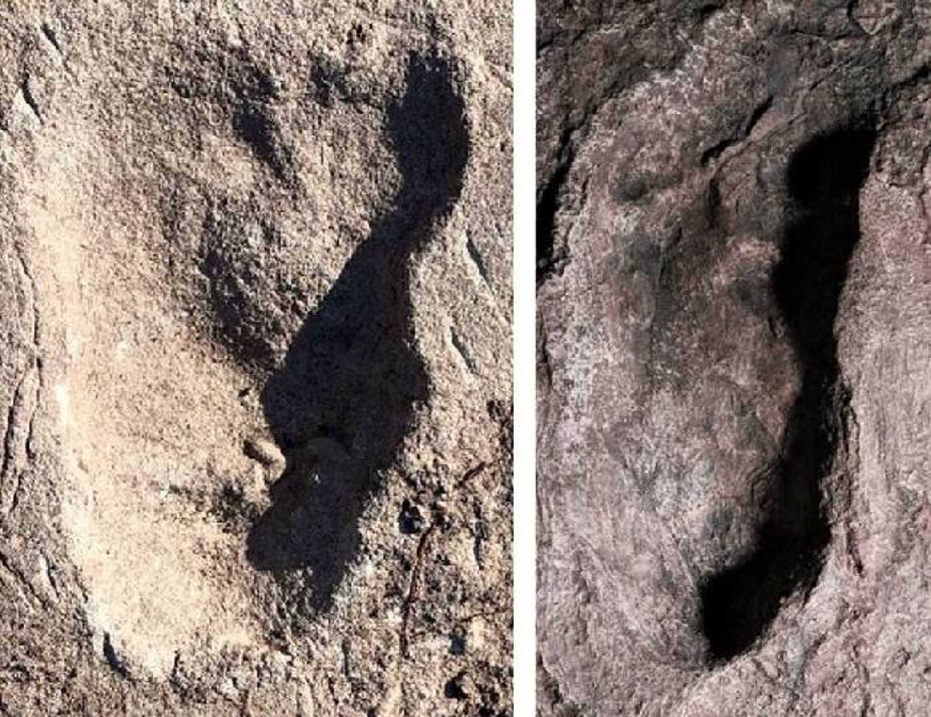 ردپای کشف شده در لائتولی / footprints