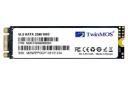 SSD توین موس SATA M.2 ظرفیت 256 گیگابایت