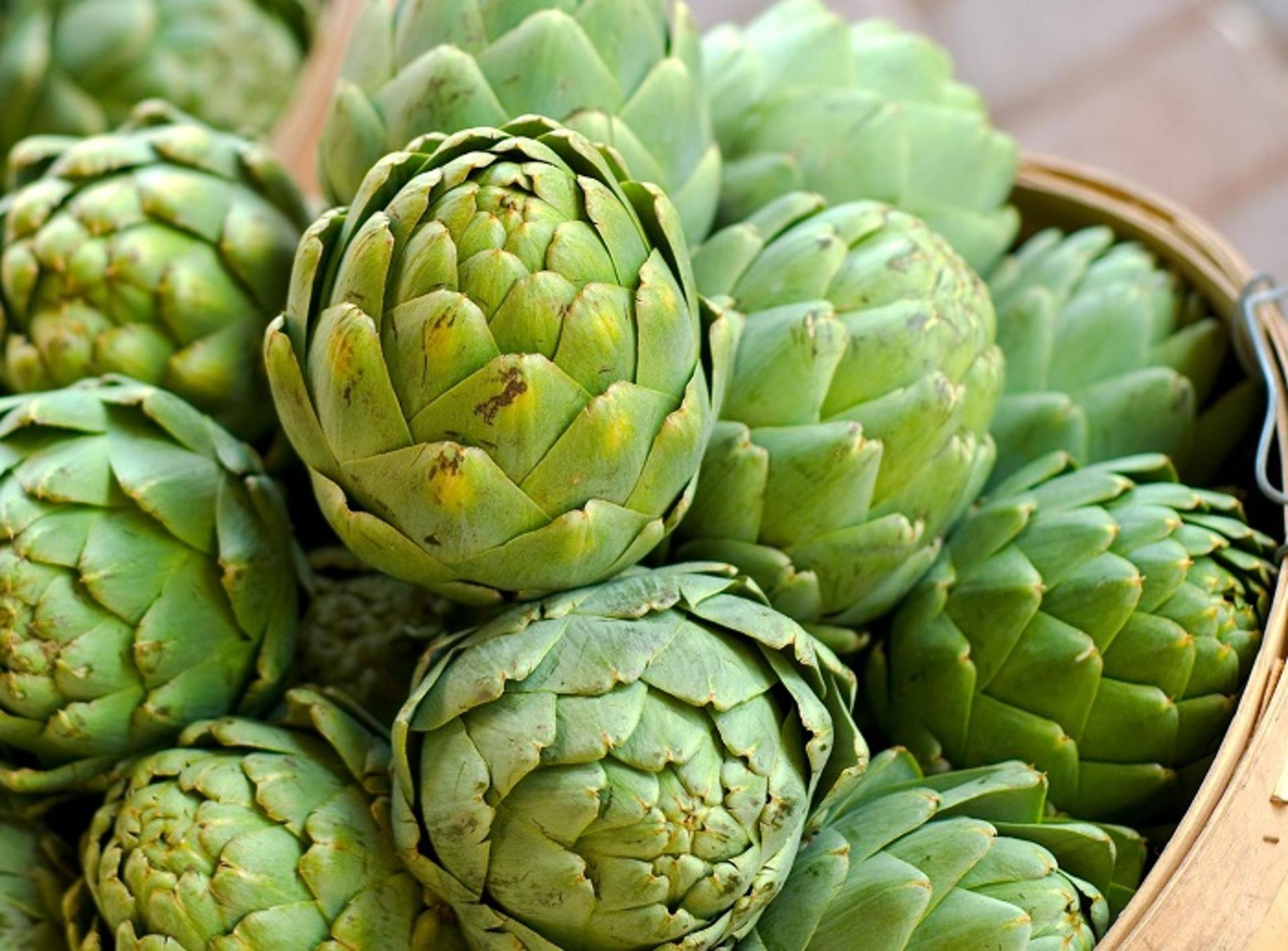 کنگر فرنگی یا ارده شاهی