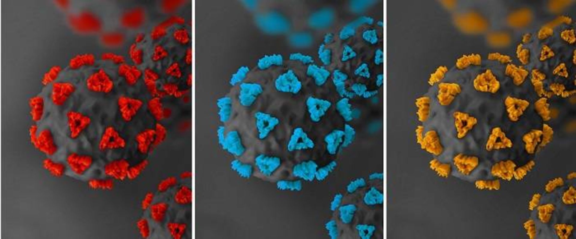 ویروس کرونا / Coronavirus