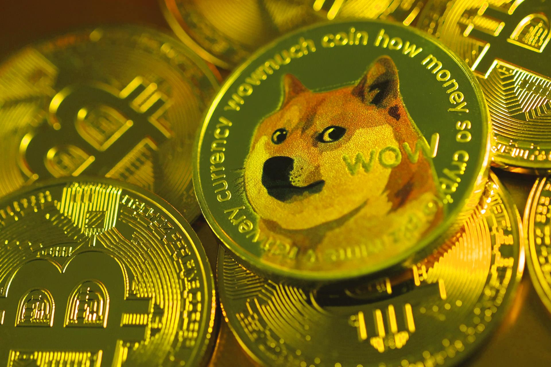 بیت کوین در مقابل دوج کوین